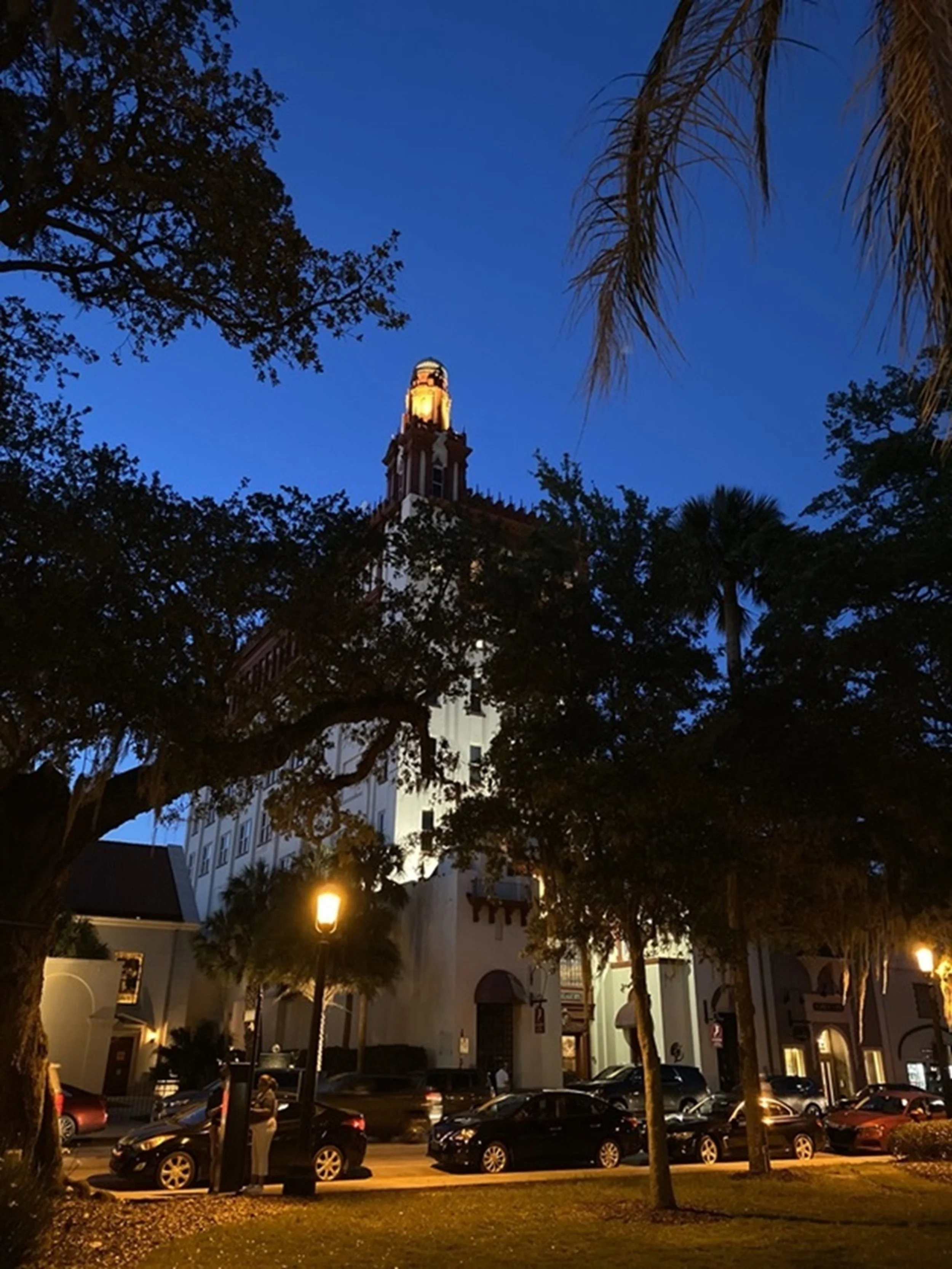 Southern Lights: As twilight settles over the historic streetscape, warm architectural lighting transforms a landmark into a welcoming beacon against the deep blue evening sky. Southern Lights captures the timeless elegance of Southern architecture, 
