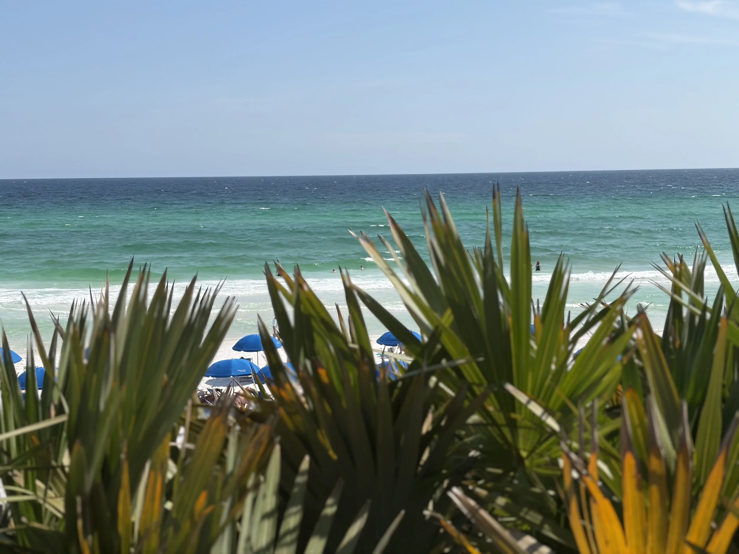 Framed by the Emerald Coast: Viewed through a veil of sunlit palms, the emerald waters and white sand shoreline unfold as a moment of quiet discovery. Framed by the Emerald Coast captures the feeling of arriving at a coastal retreat—where lush tropic