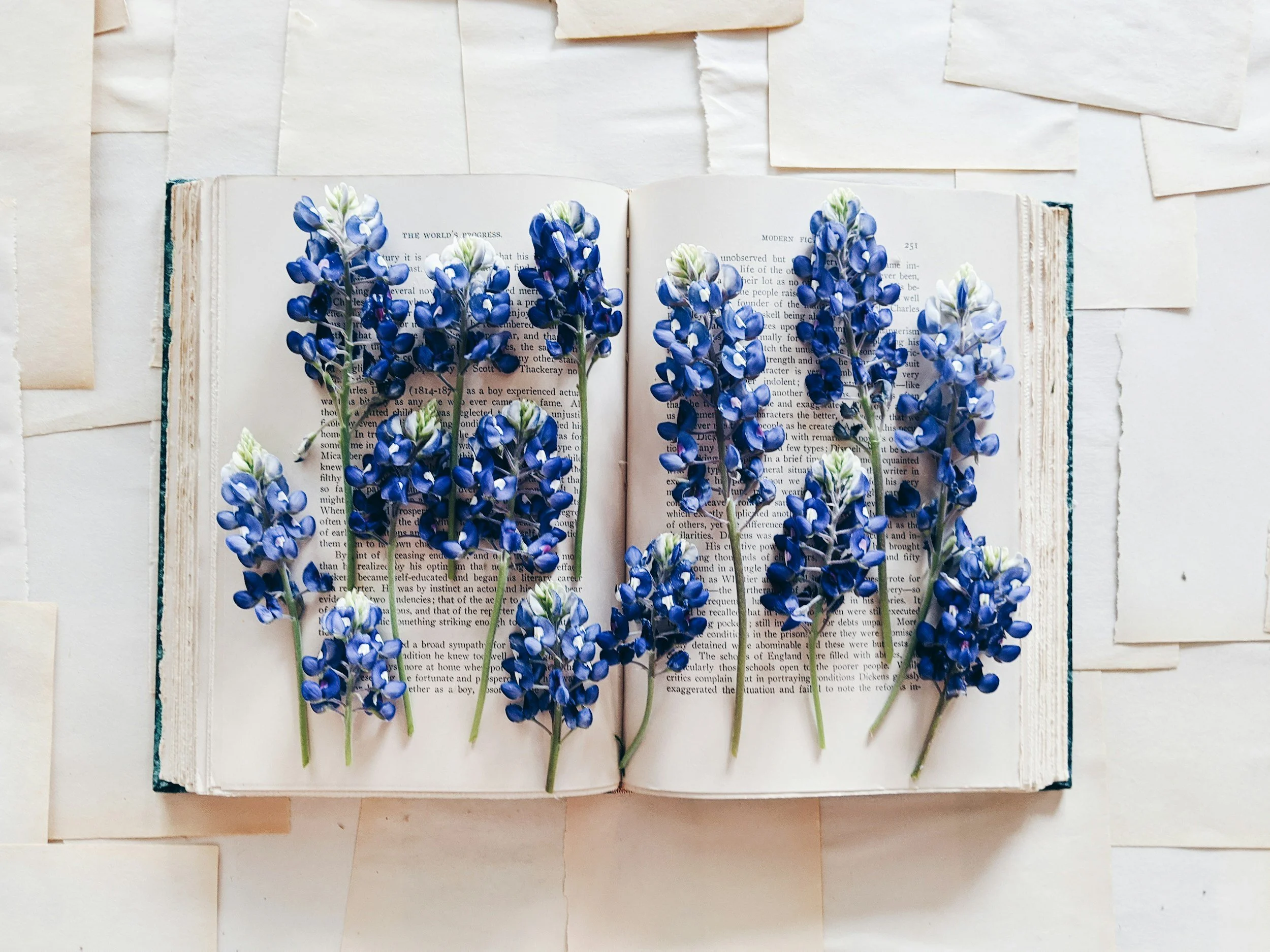 Open book with blue and white flowers laid across its pages.