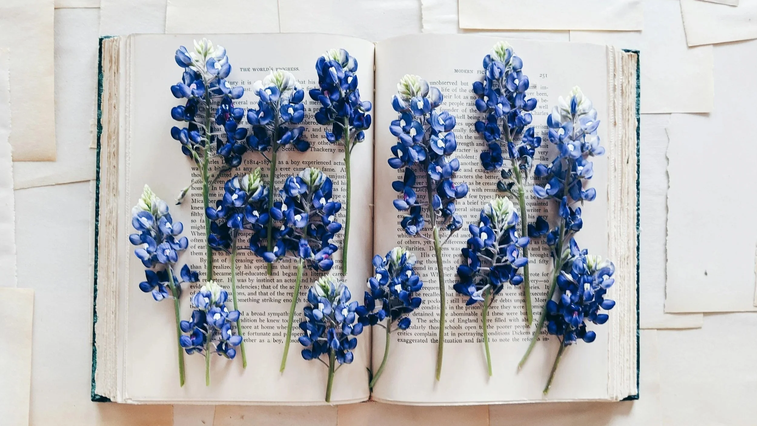An open book with blue flowers laid across its pages, with some flowers overlapping the text.