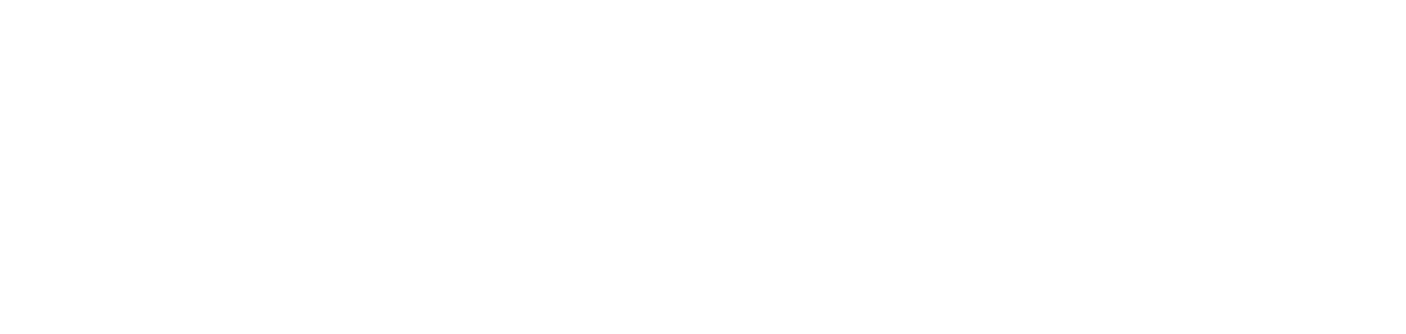 Logo de la plataforma RIVERSIDE