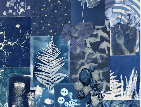 Cyanotype: Experimental Printmaking