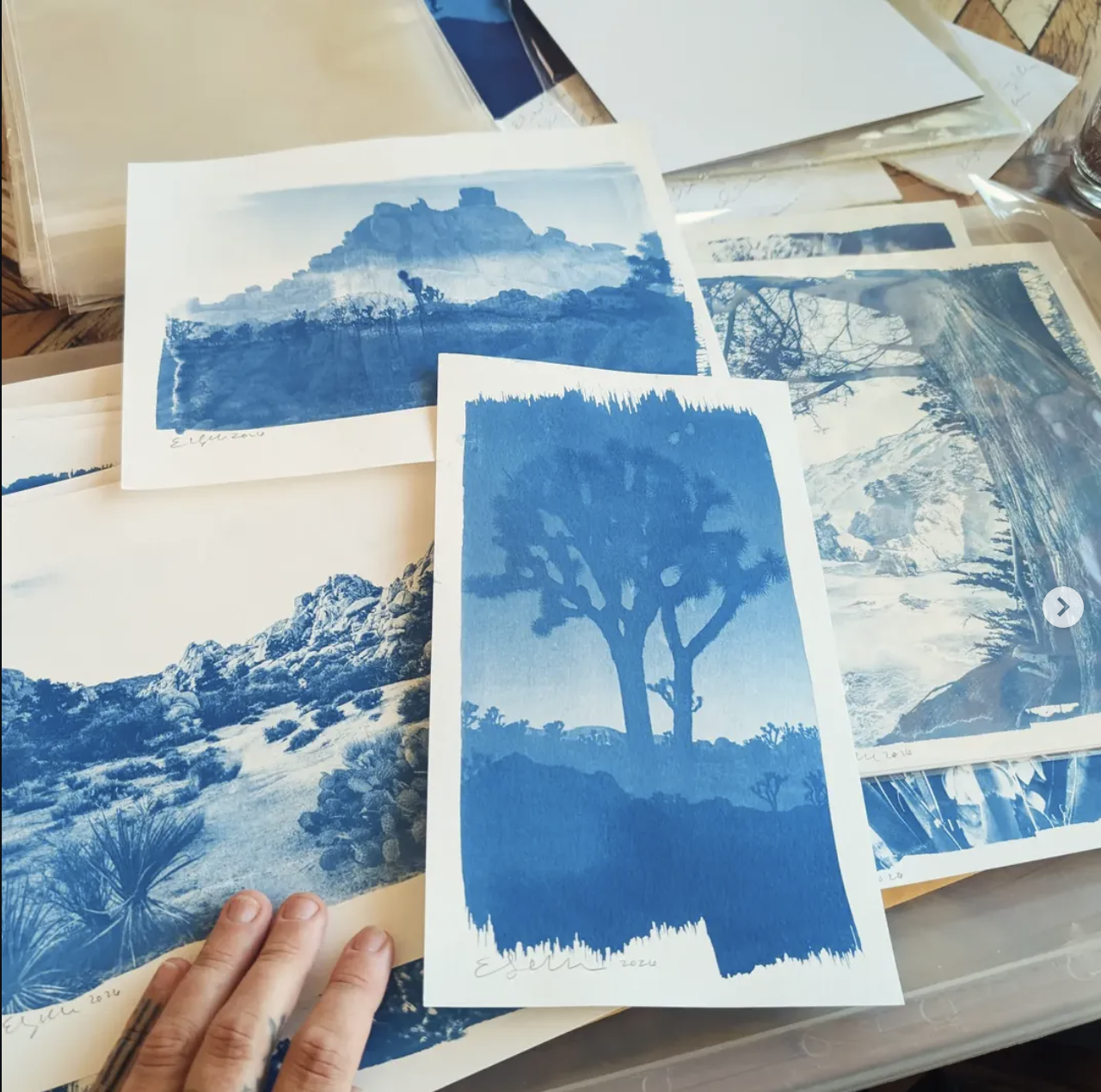 Cyanotype: Working With Digital Negatives Sept. 27, 2026