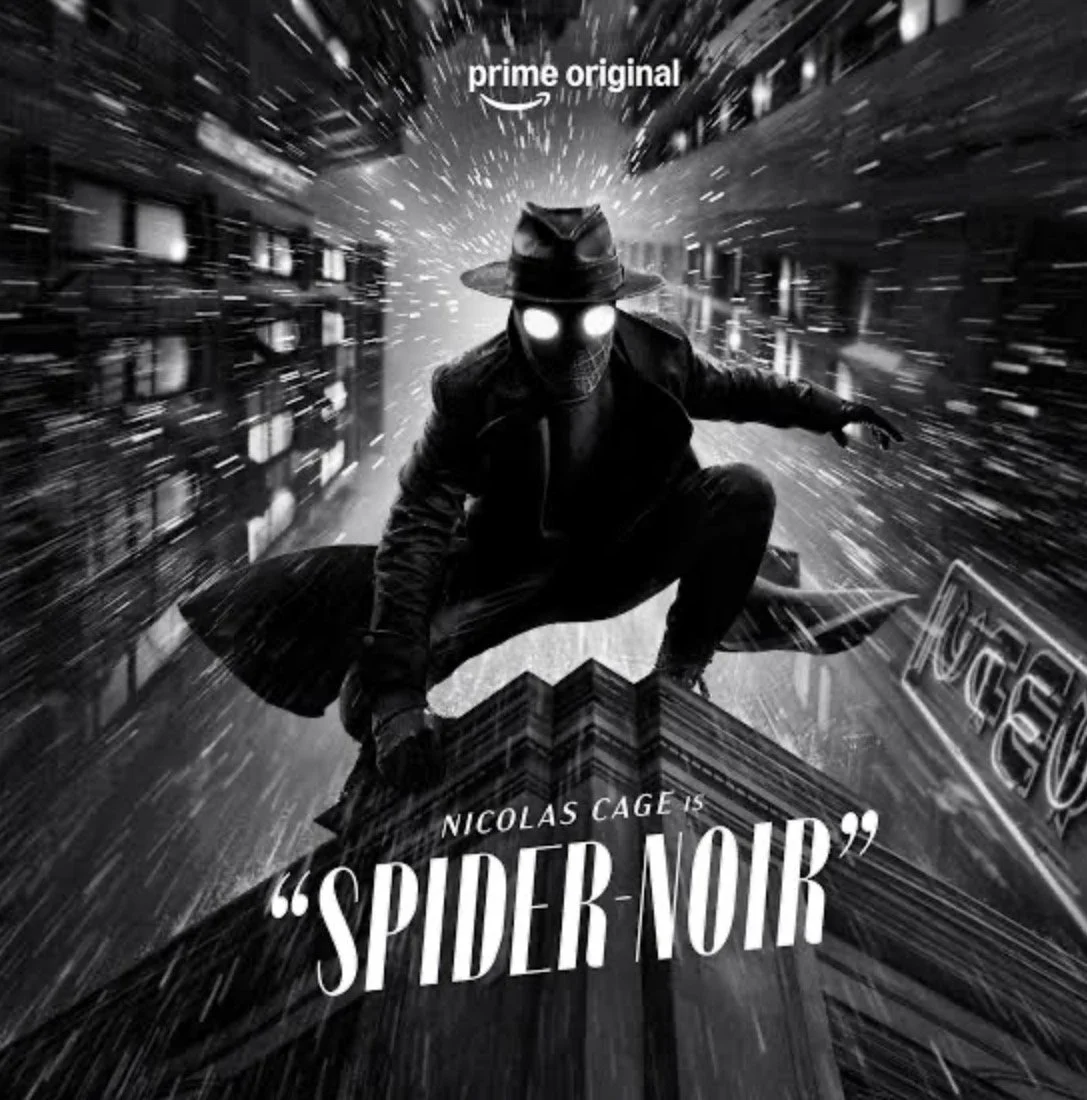 Spider Noir