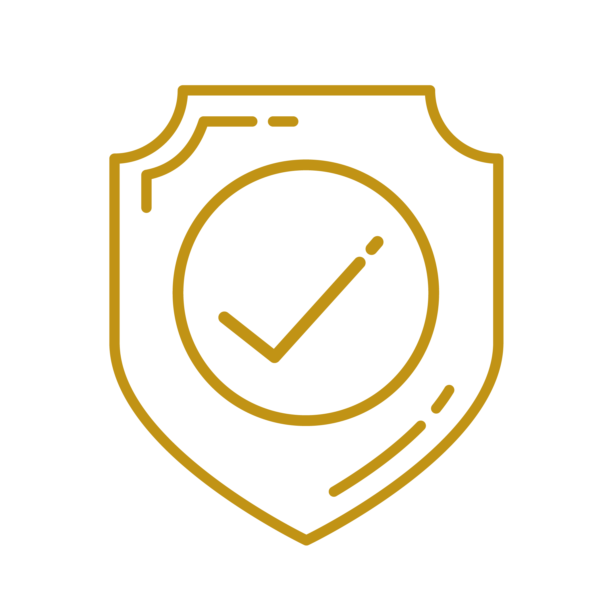 Outline drawing of a camera with a checkmark inside a circle on the front.