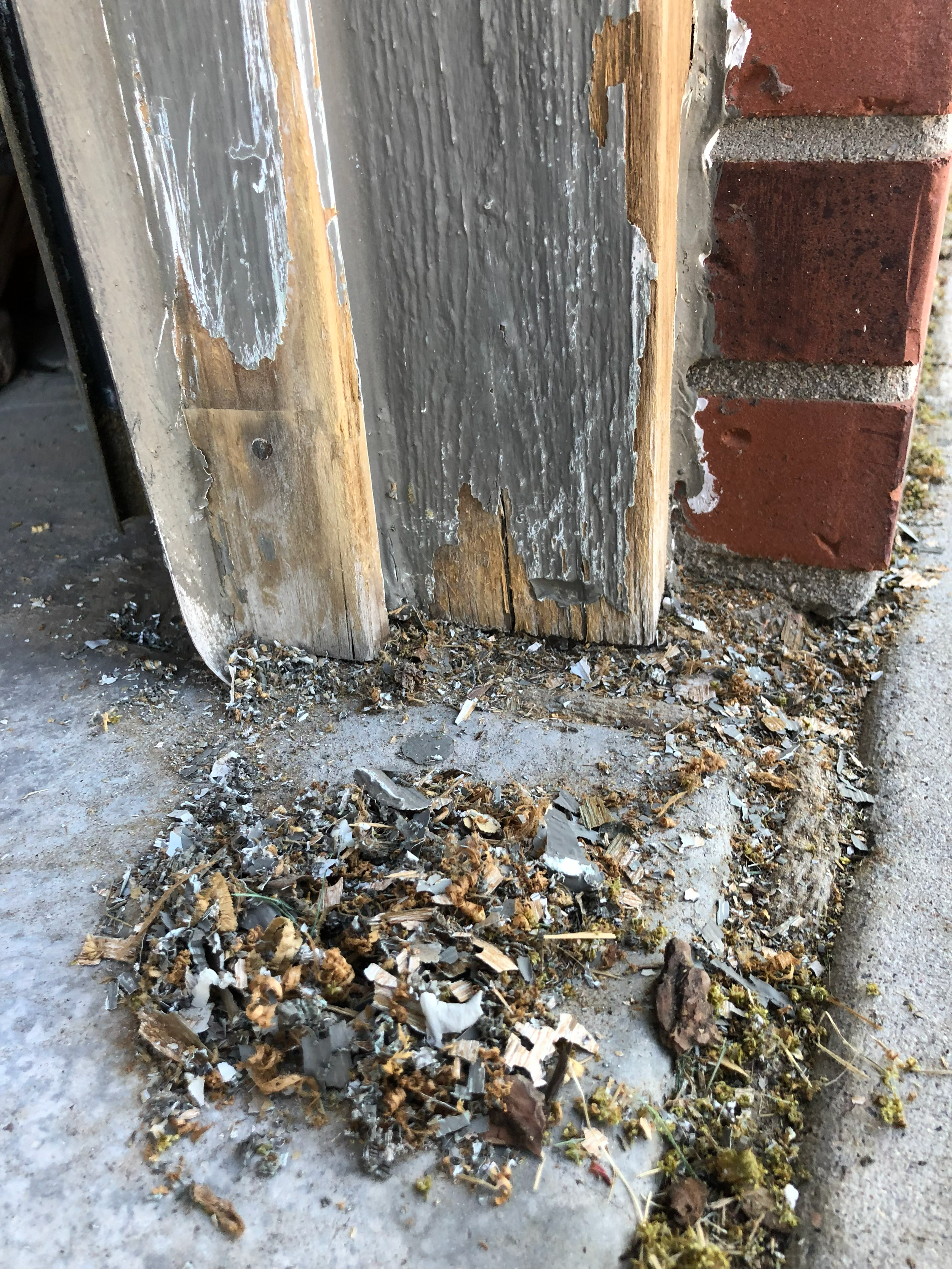 Close-up of a concrete floor with debris, wood shavings, and broken pieces of drywall or plaster, next to a partially painted brick wall.