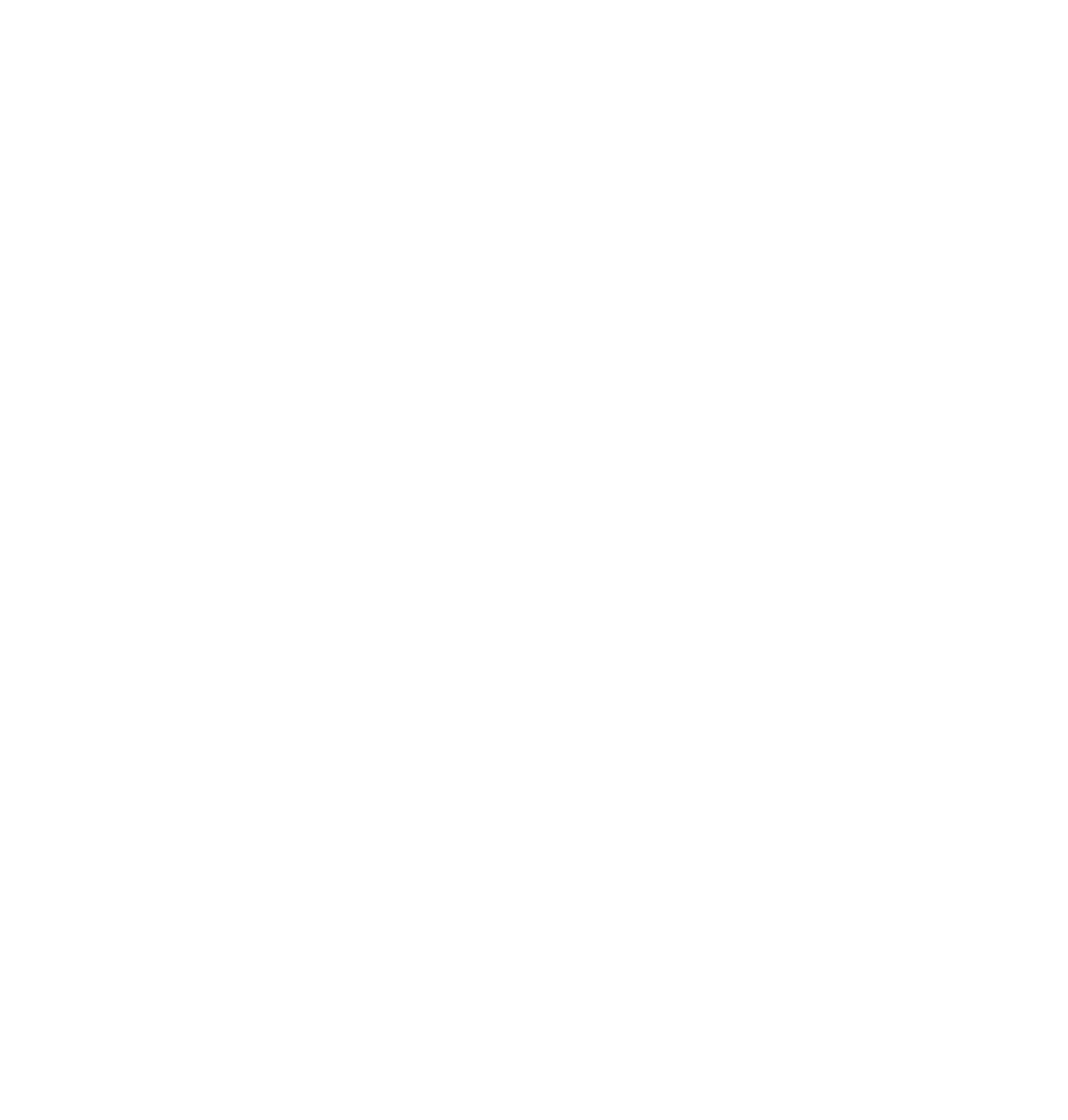 Bridgeport Film Fest