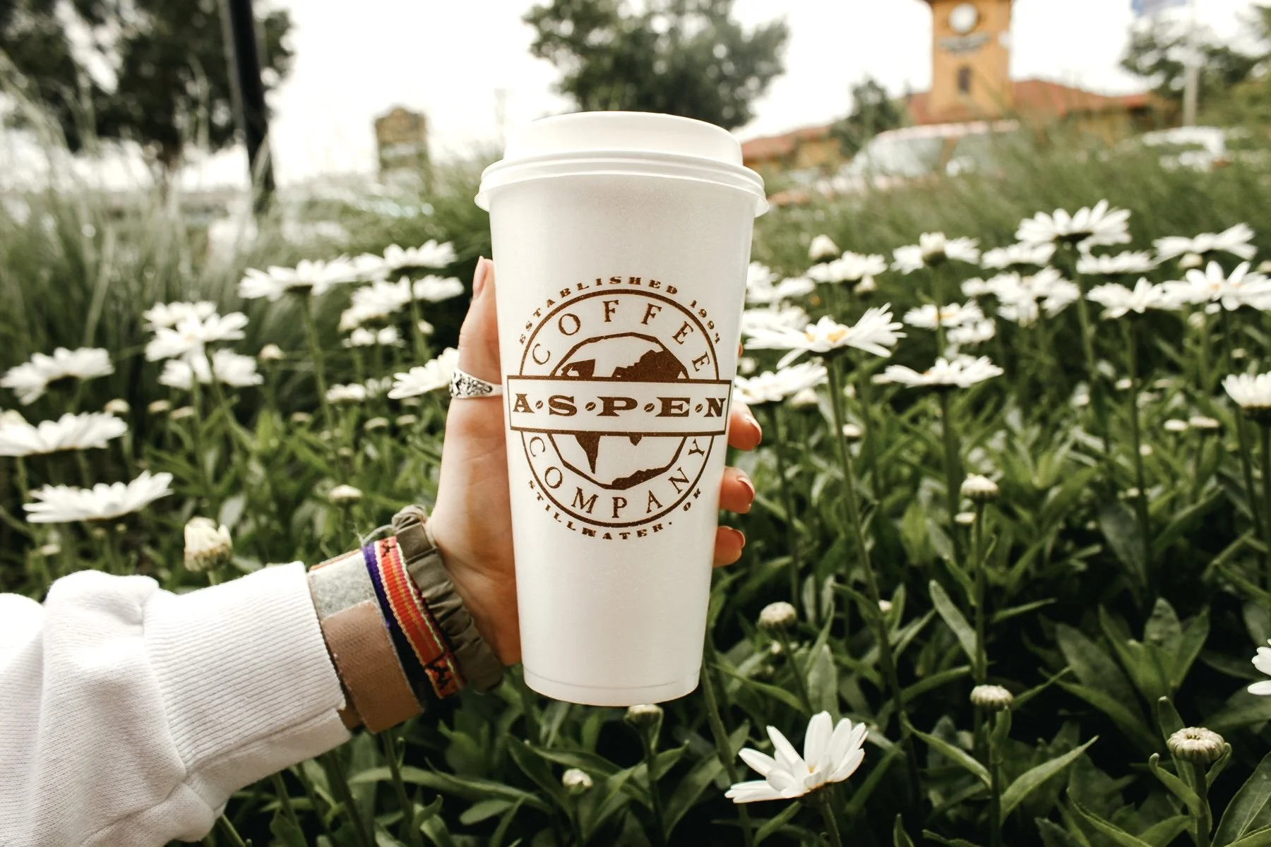 Hand holding a white to-go coffee cup with logo in front of a field of white daisies and a brick building in the background. Creative marketing and brand content by Evelyn Elizabeth Photography in St. Augustine, Fl.