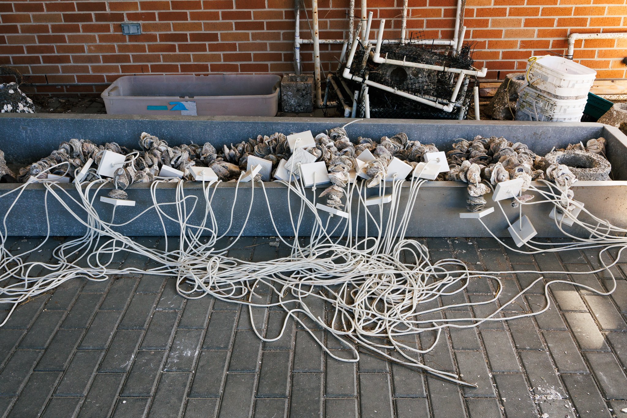 VOC_workshop-40.jpg