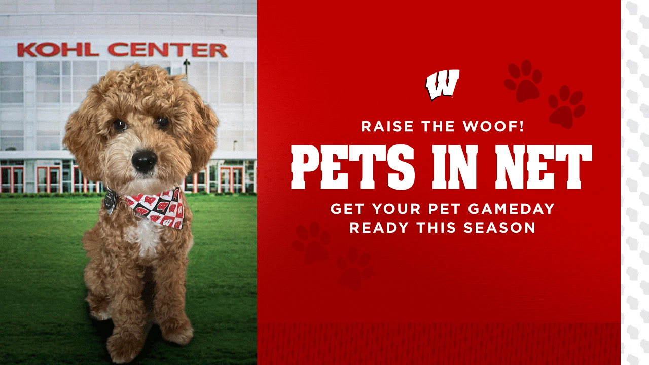 Pets-In-Net---Wrigley.gif