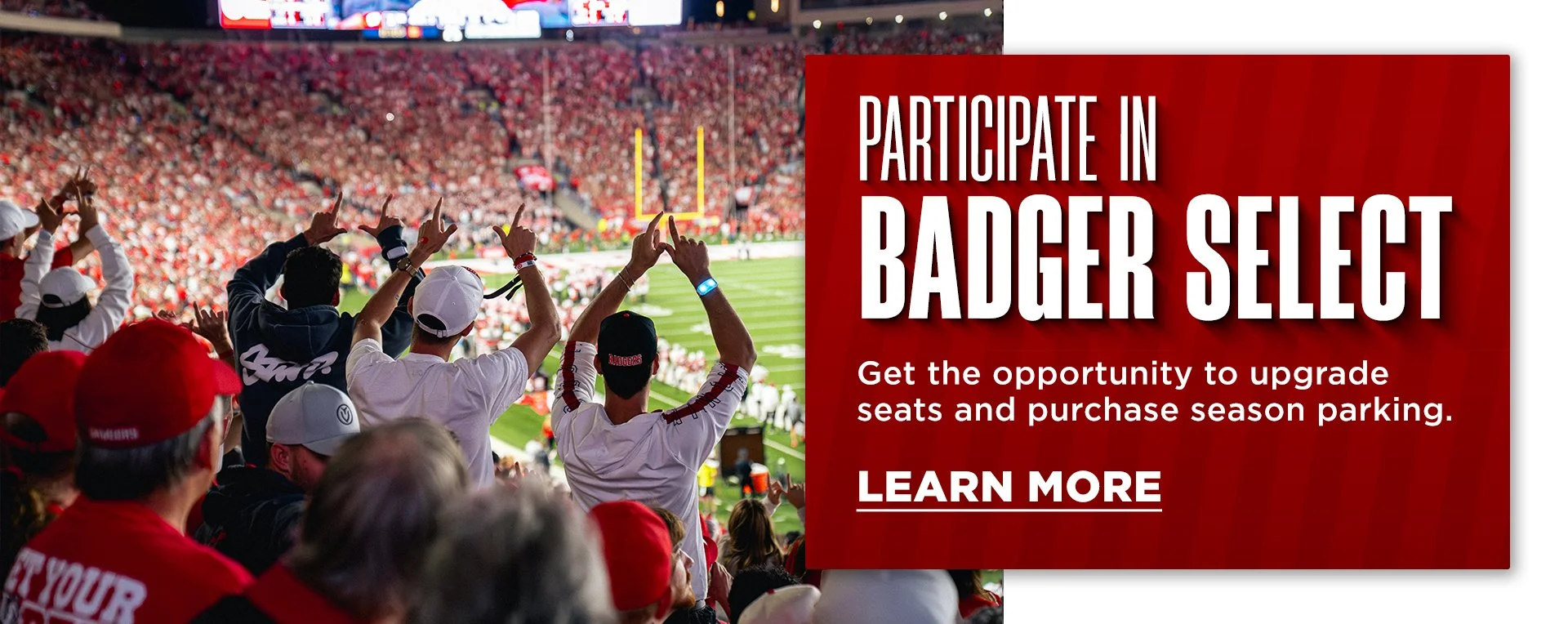 Badger Select.jpg