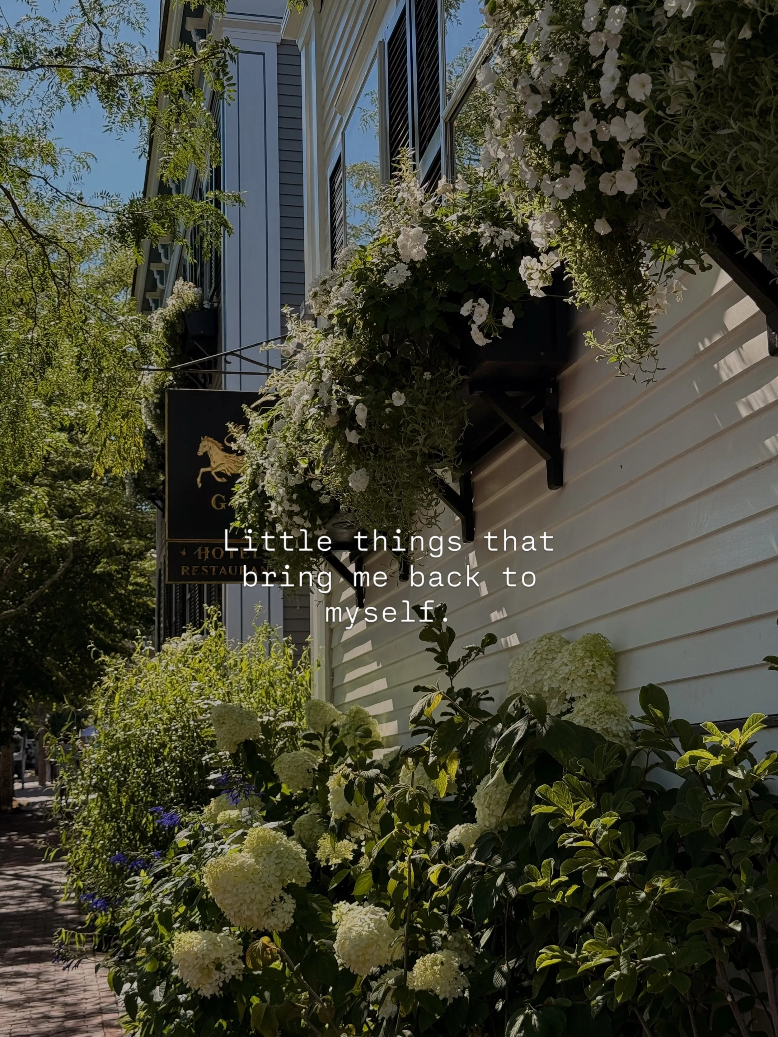 Rituals beyond the studio ✨

I&rsquo;ve always believed in romanticizing the life you&rsquo;re already living. Finding beauty in the ordinary and creating small moments that help you feel more present.

For me, that looks like fresh flowers from the 