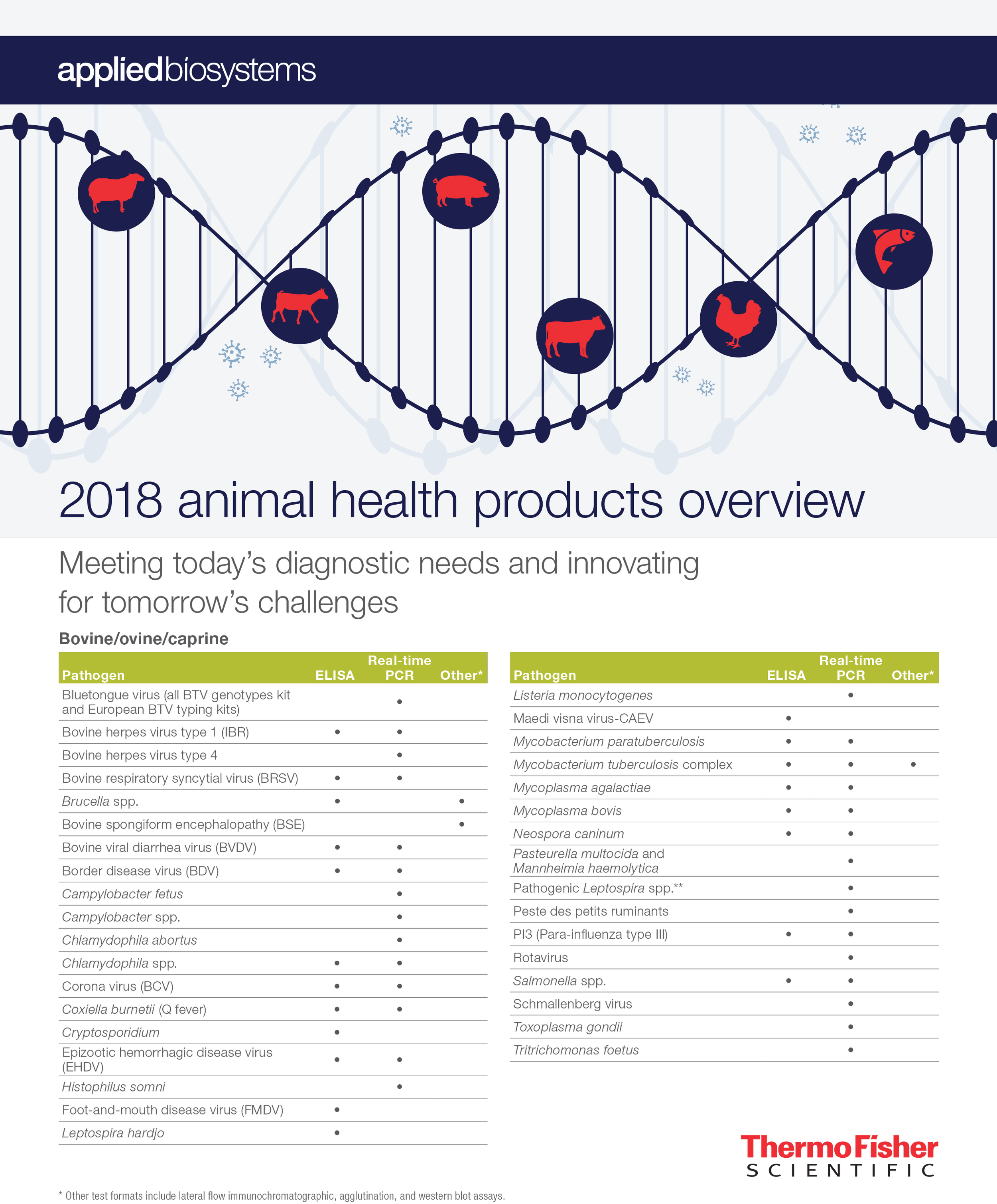 Animal Health Flyer