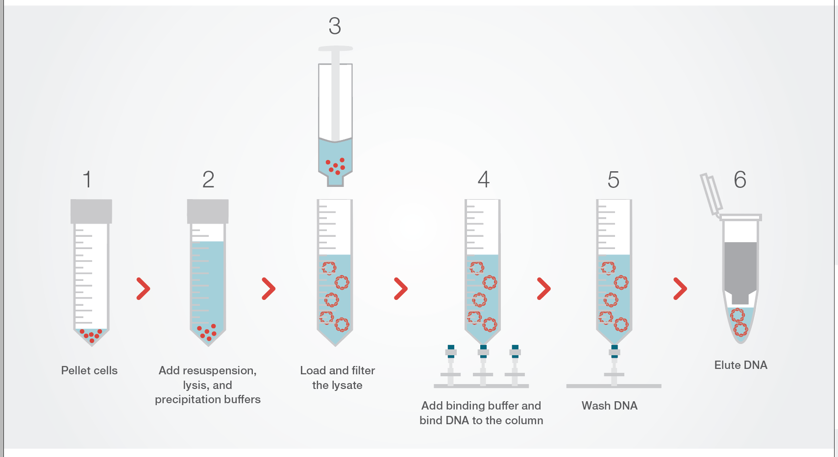 Drawn in Illustrator