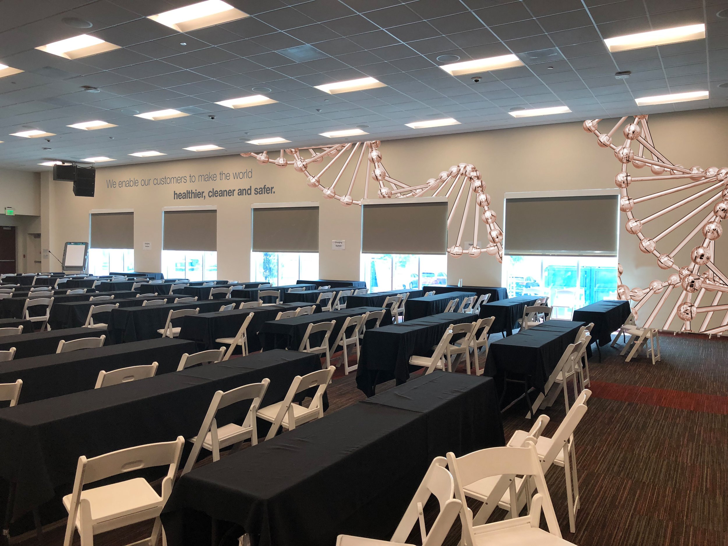 Town Hall Right Wall Mock-up