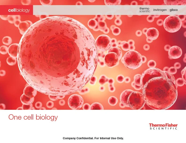 Cell Biology Brochure