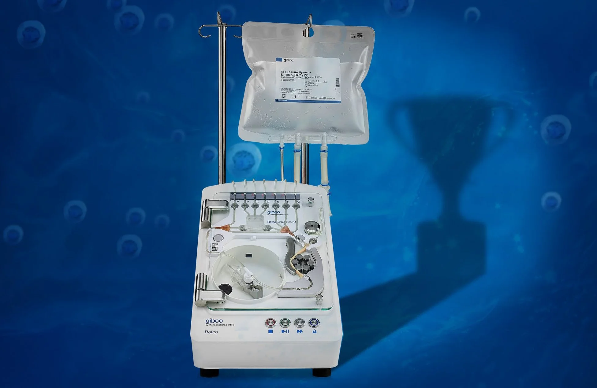 Rotea Incubator Header Image