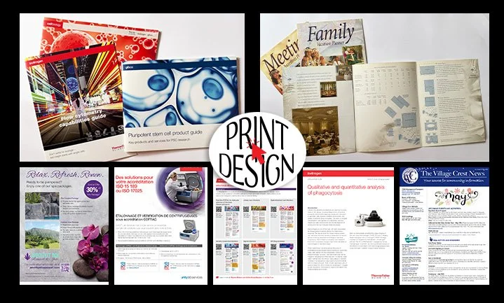 Marketing & Collateral