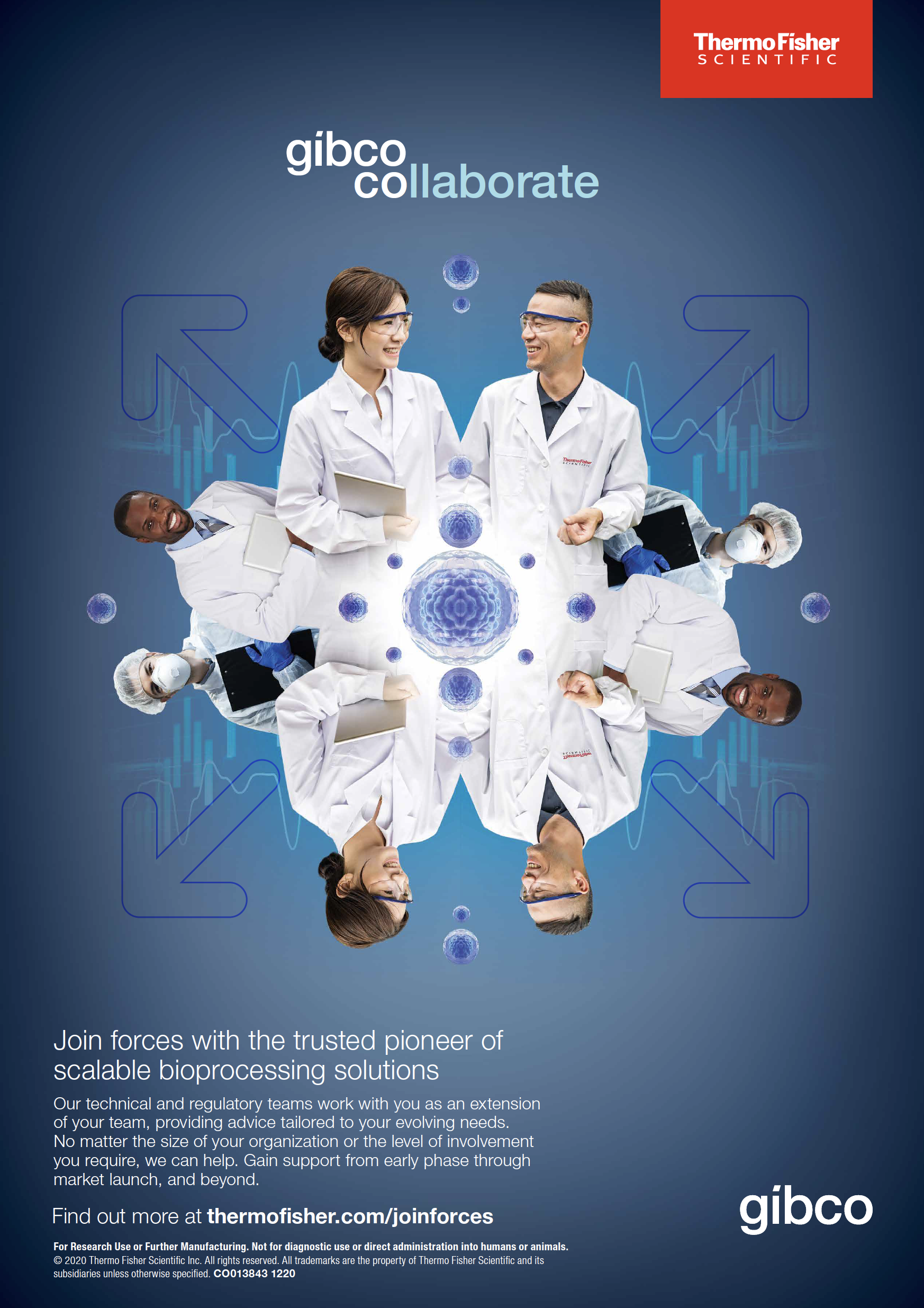 Gibco Collaborate Print Ad