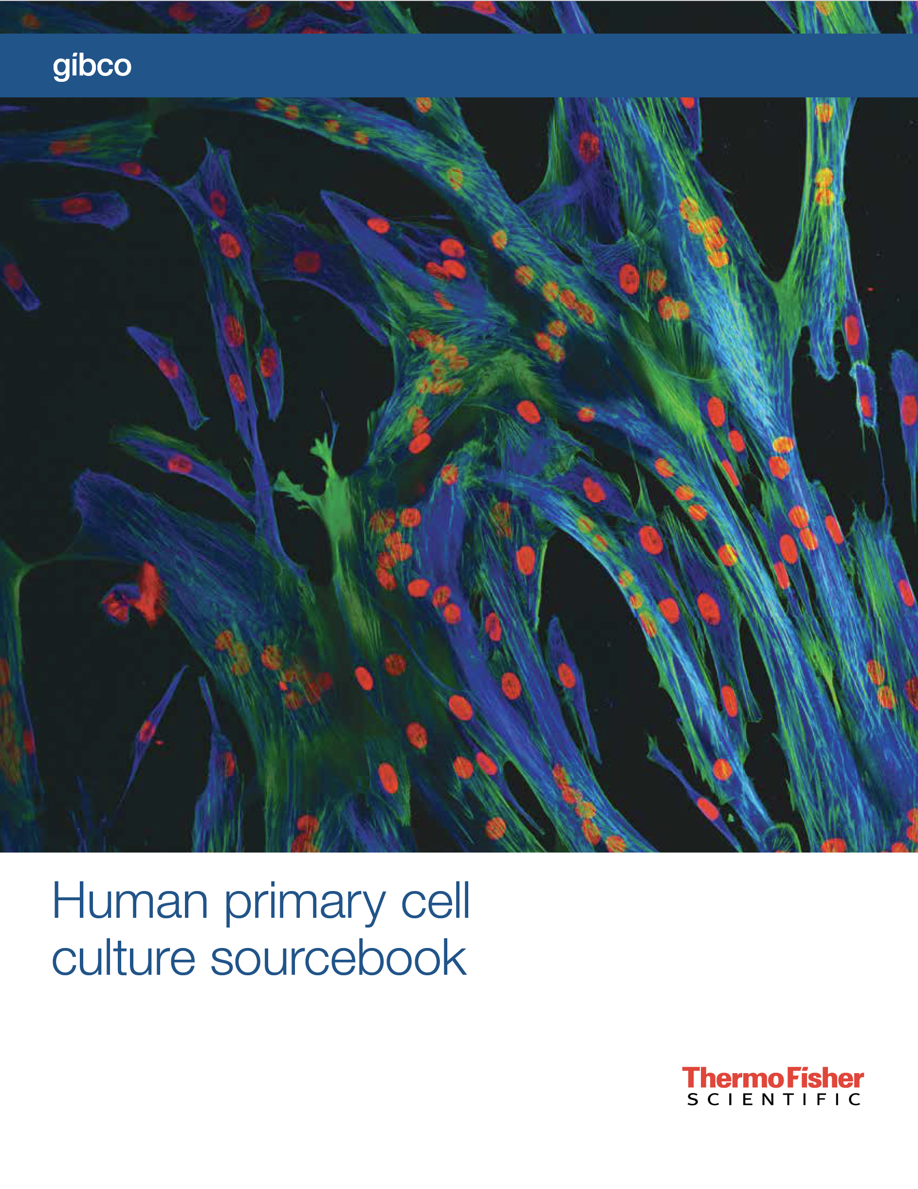 36-Page Primary CellCulture Brochure (Print)