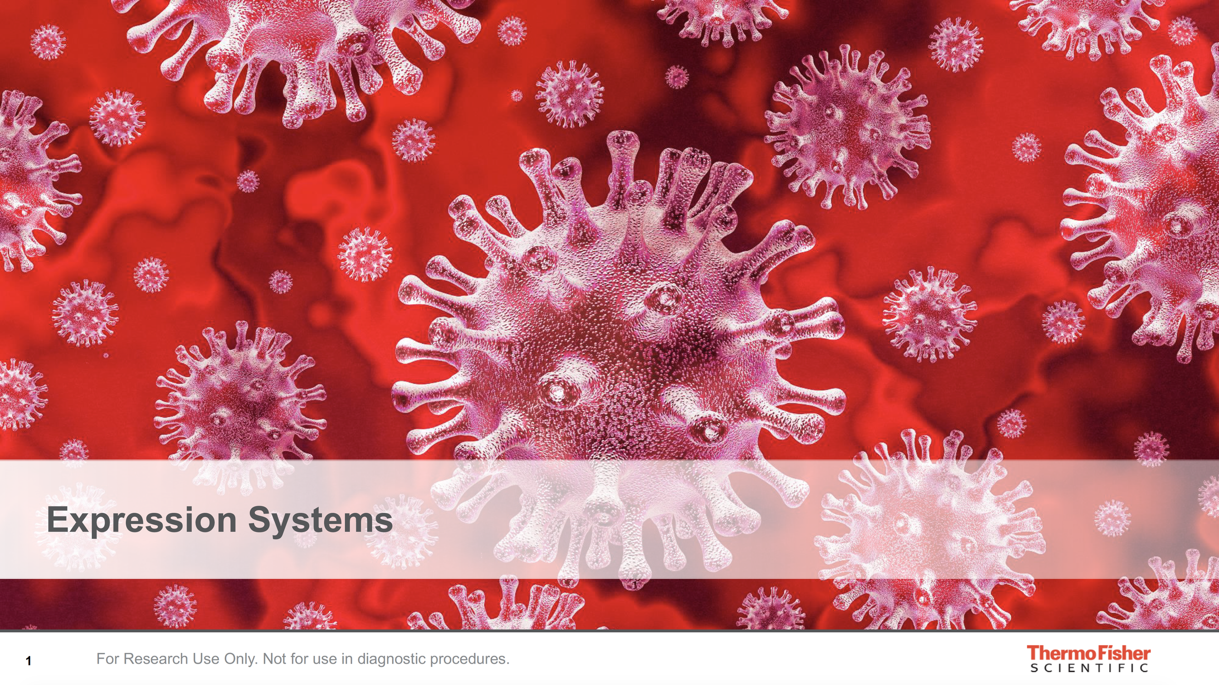 57-Slide Expression Systems PPT Deck