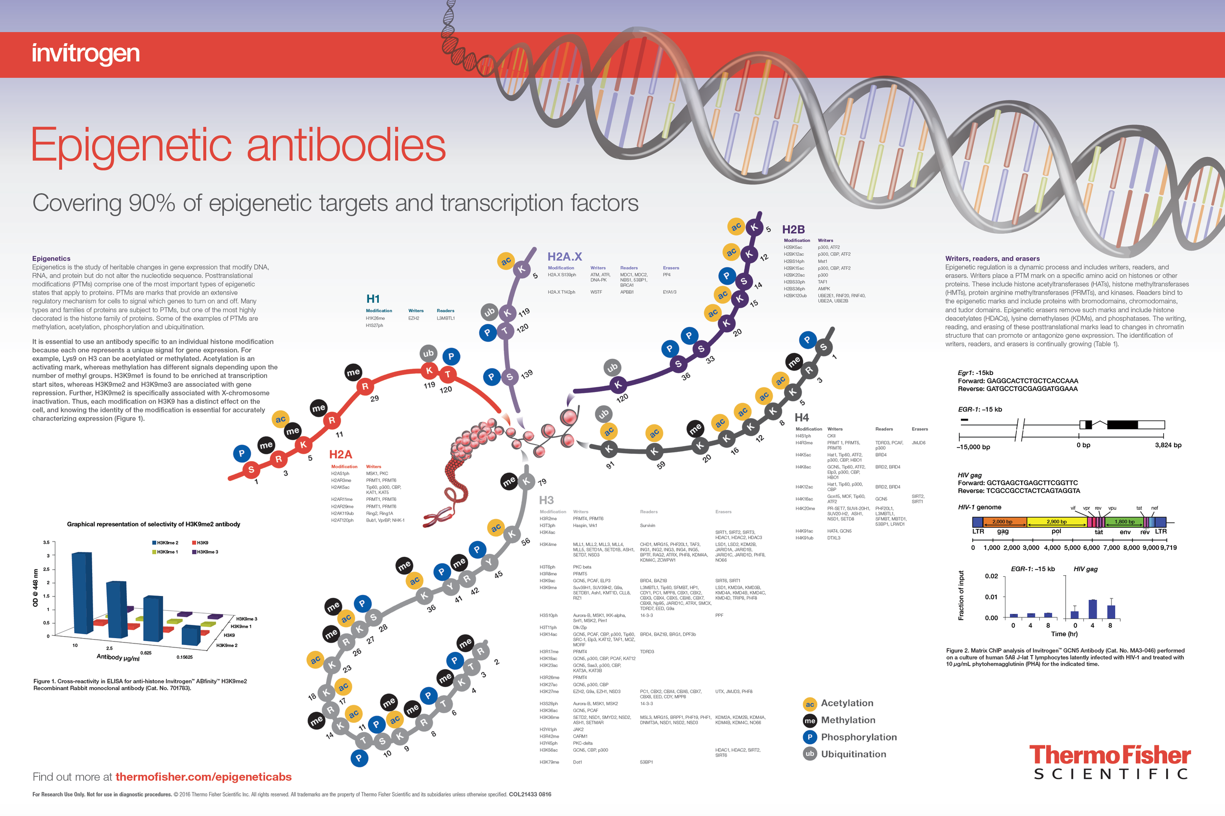 Epigenetic Antibodies Scientific Poster