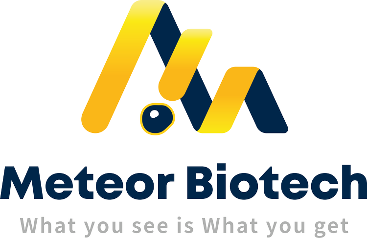 bronze sponsor