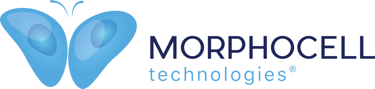 bronze sponsor