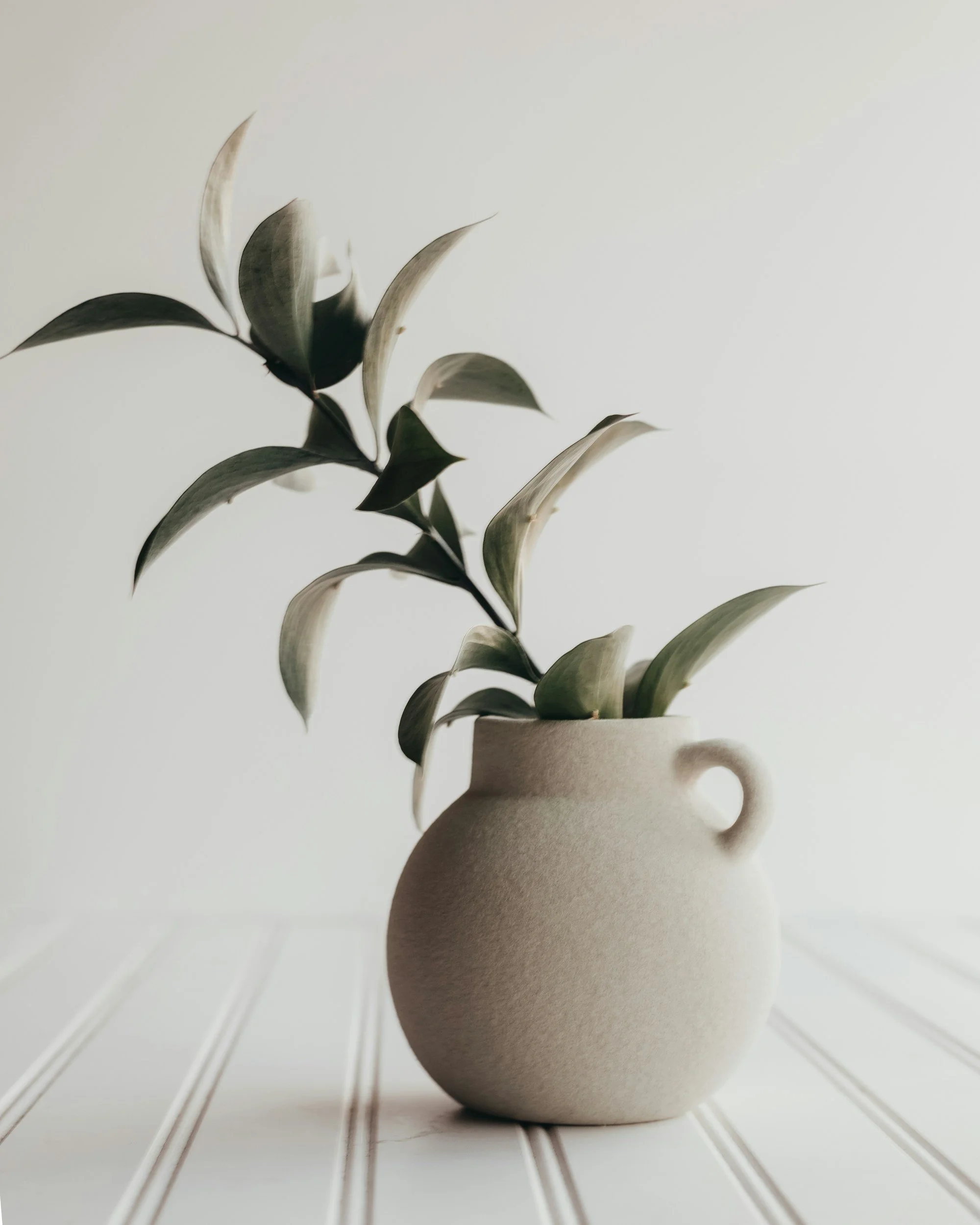 A beige ceramic vase with a small handle on the side, holding a branch with elongated, curved leaves. The vase is placed on a white surface with subtle grooves.