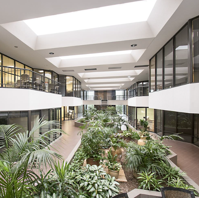 Indoor garden with lush green plants in a modern office building with large glass windows and skylights.