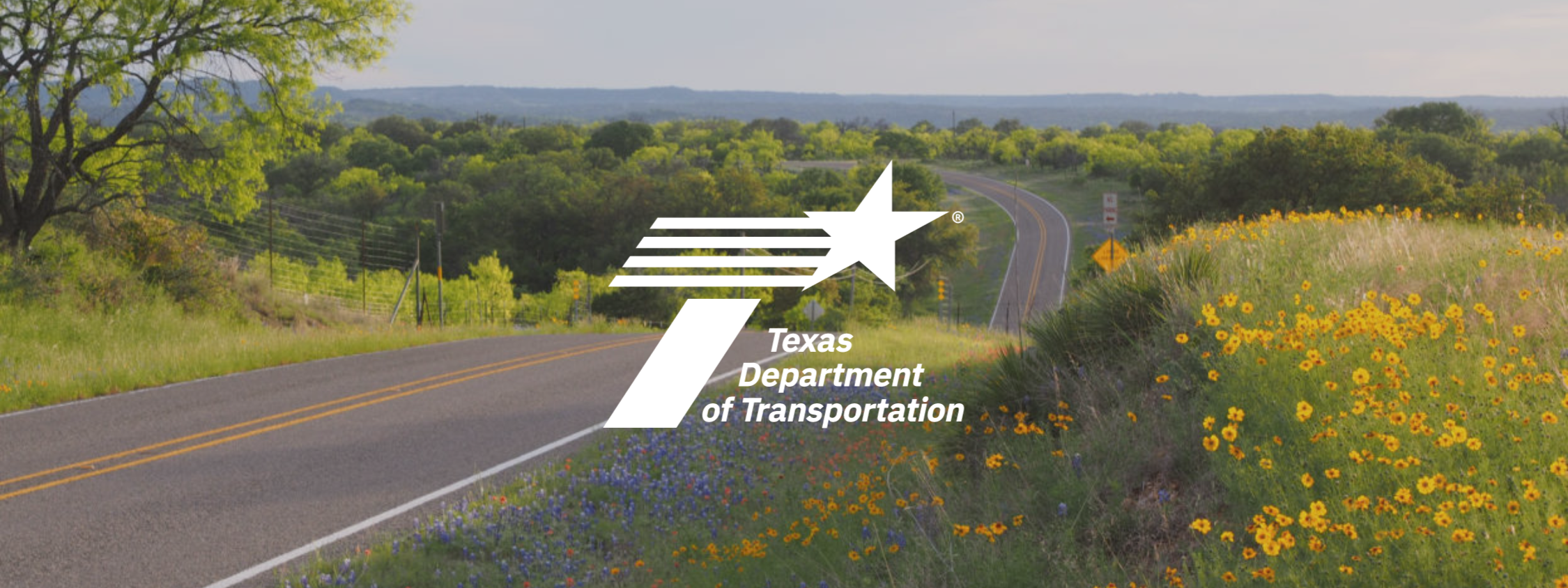 Landscape of a rural road in Texas with green trees and yellow wildflowers, overlaid with the Texas Department of Transportation logo.