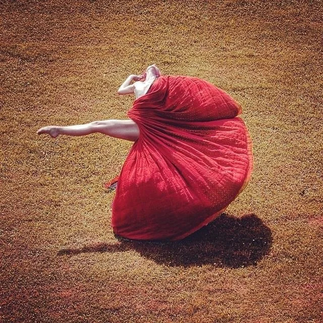 "Desert Flower", photo by Guillermo Licuro