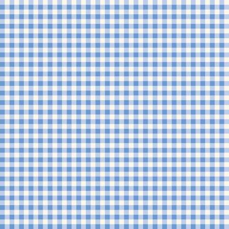 C16644 Gingham Cream (Penelope by my minds eye) / Riley Blake