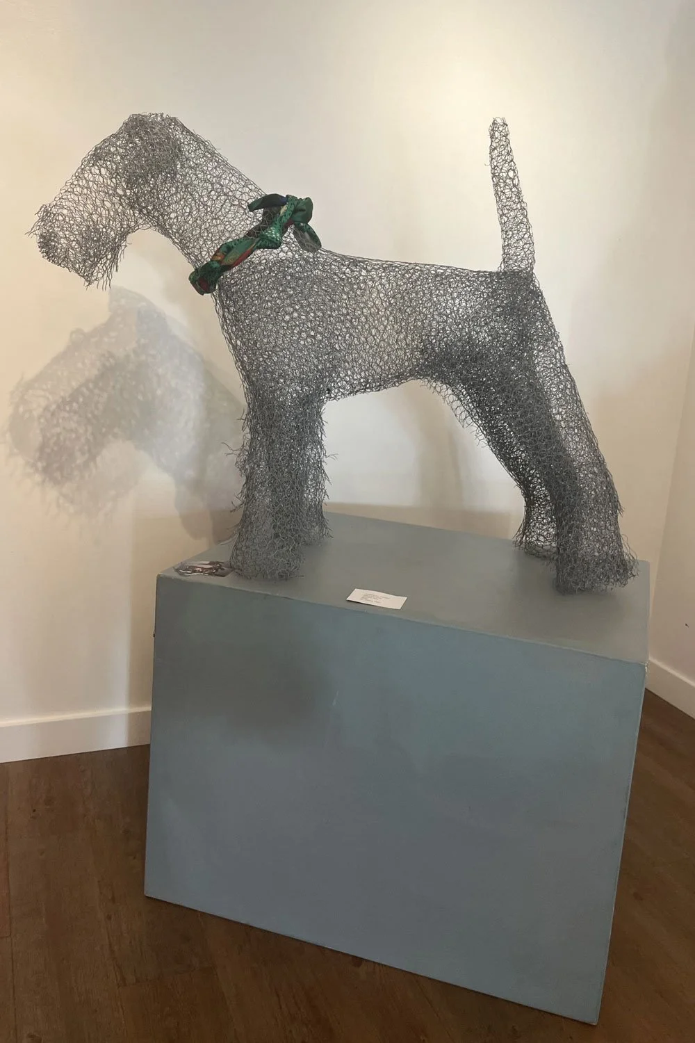 Wire Airedale