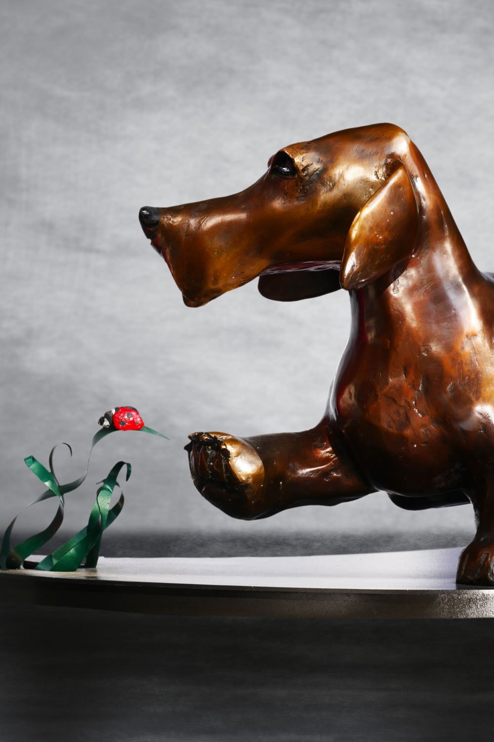 Dachshund-06.jpg