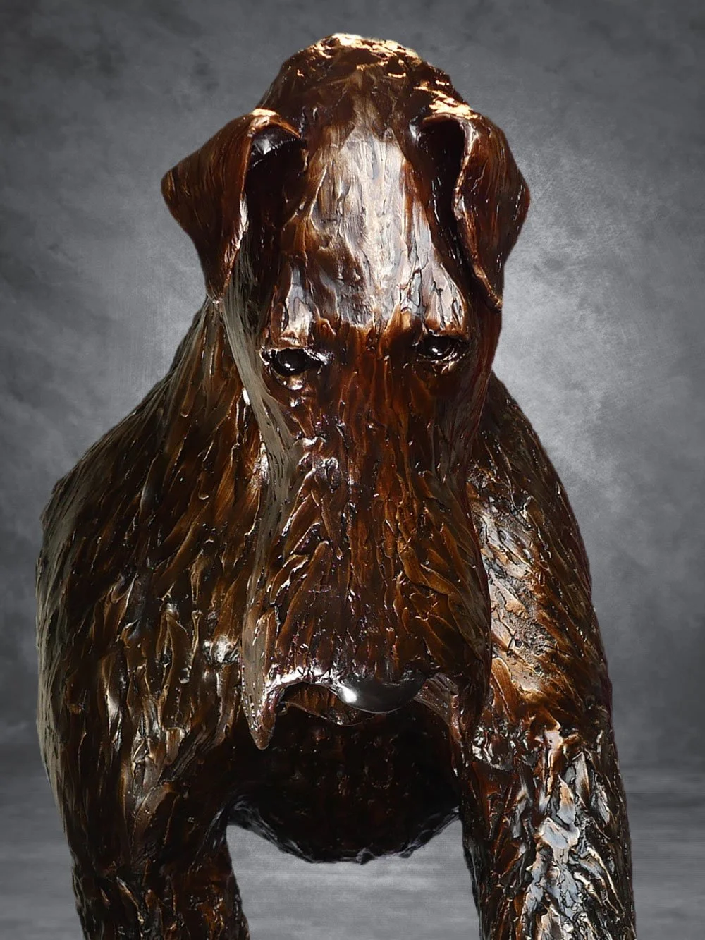 Web-Airedale-06.jpg