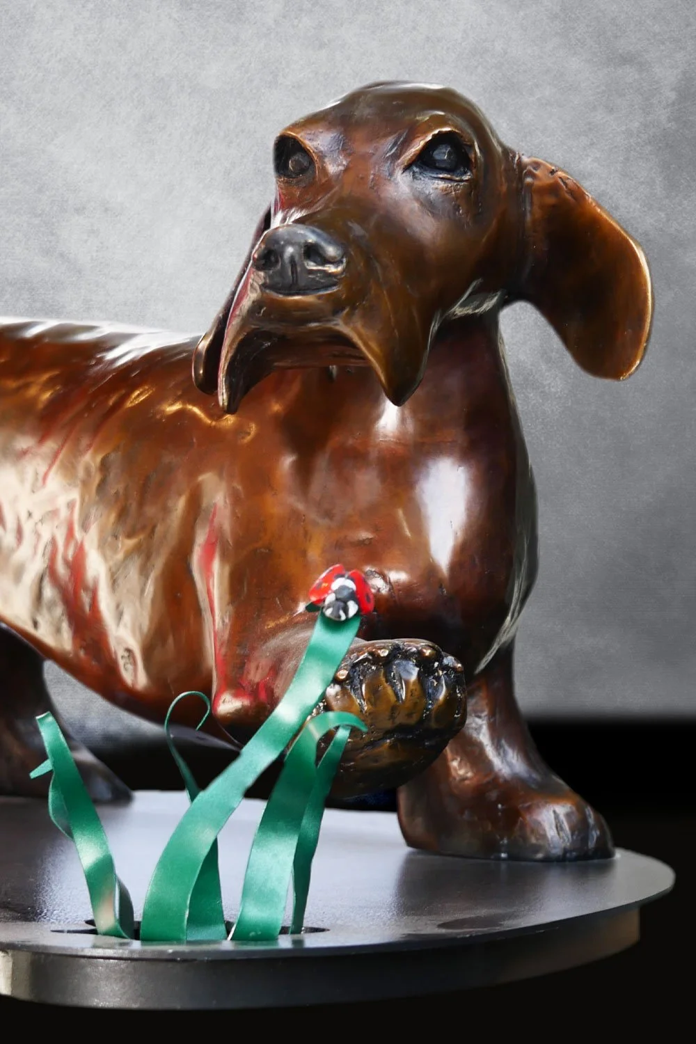 Dachshund