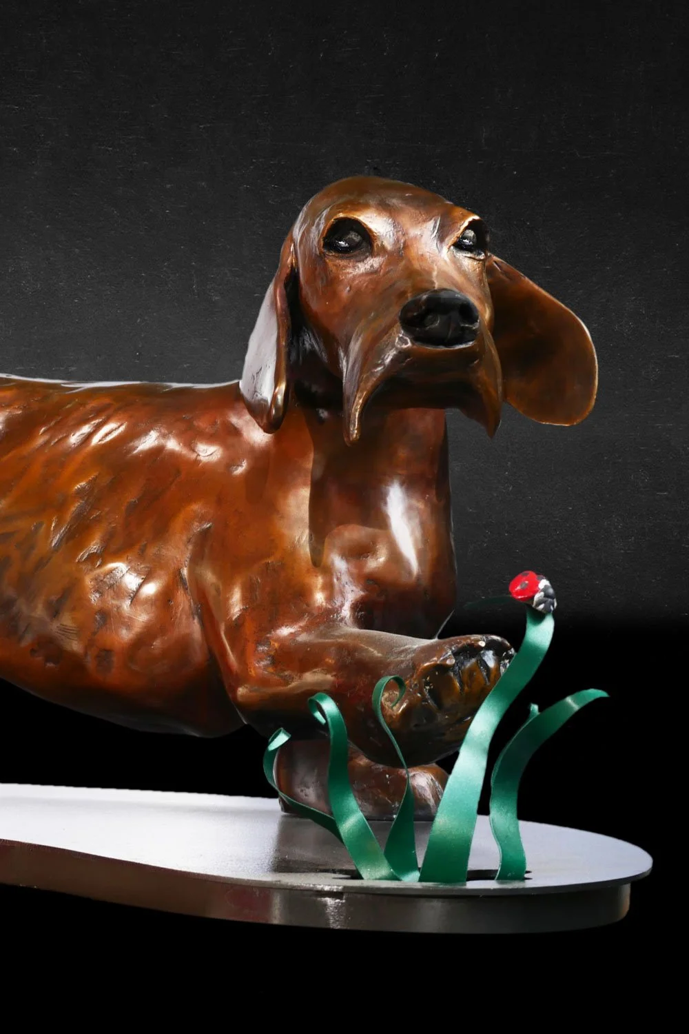 Dachshund-07.jpg