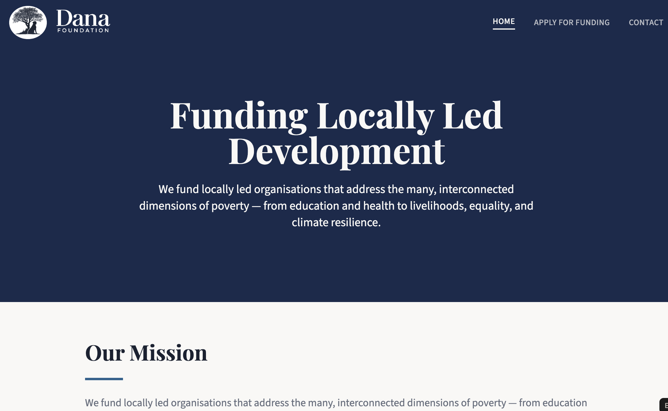 Dana Foundation Grants Programme