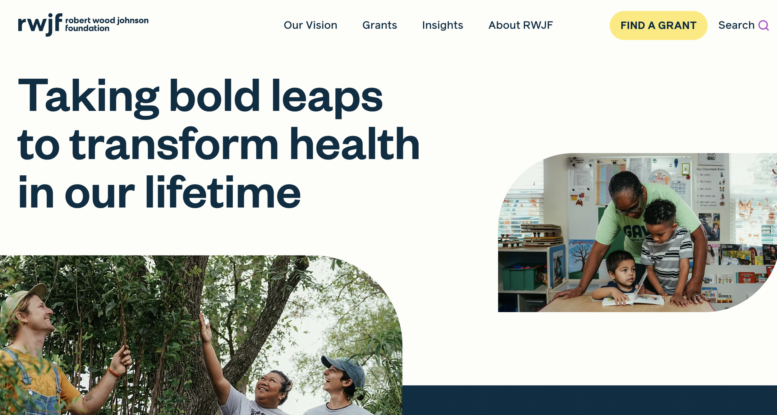 Robert Wood Johnson Foundation