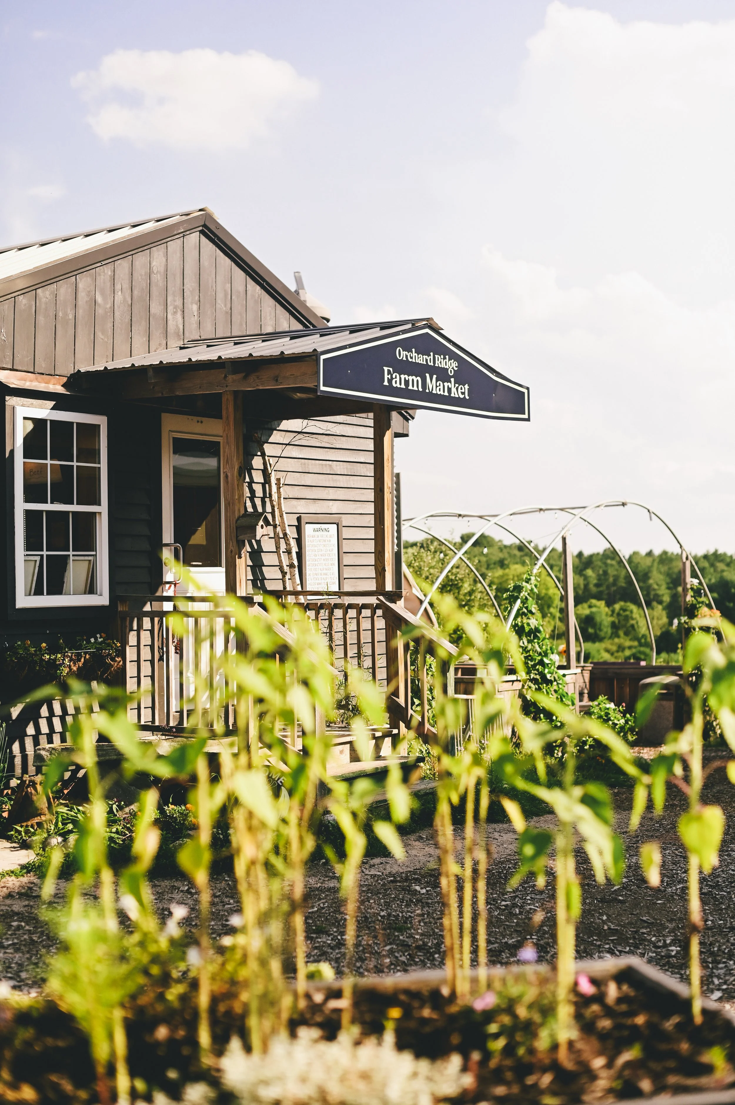 Orchard Ridge Farm in Gorham, Maine