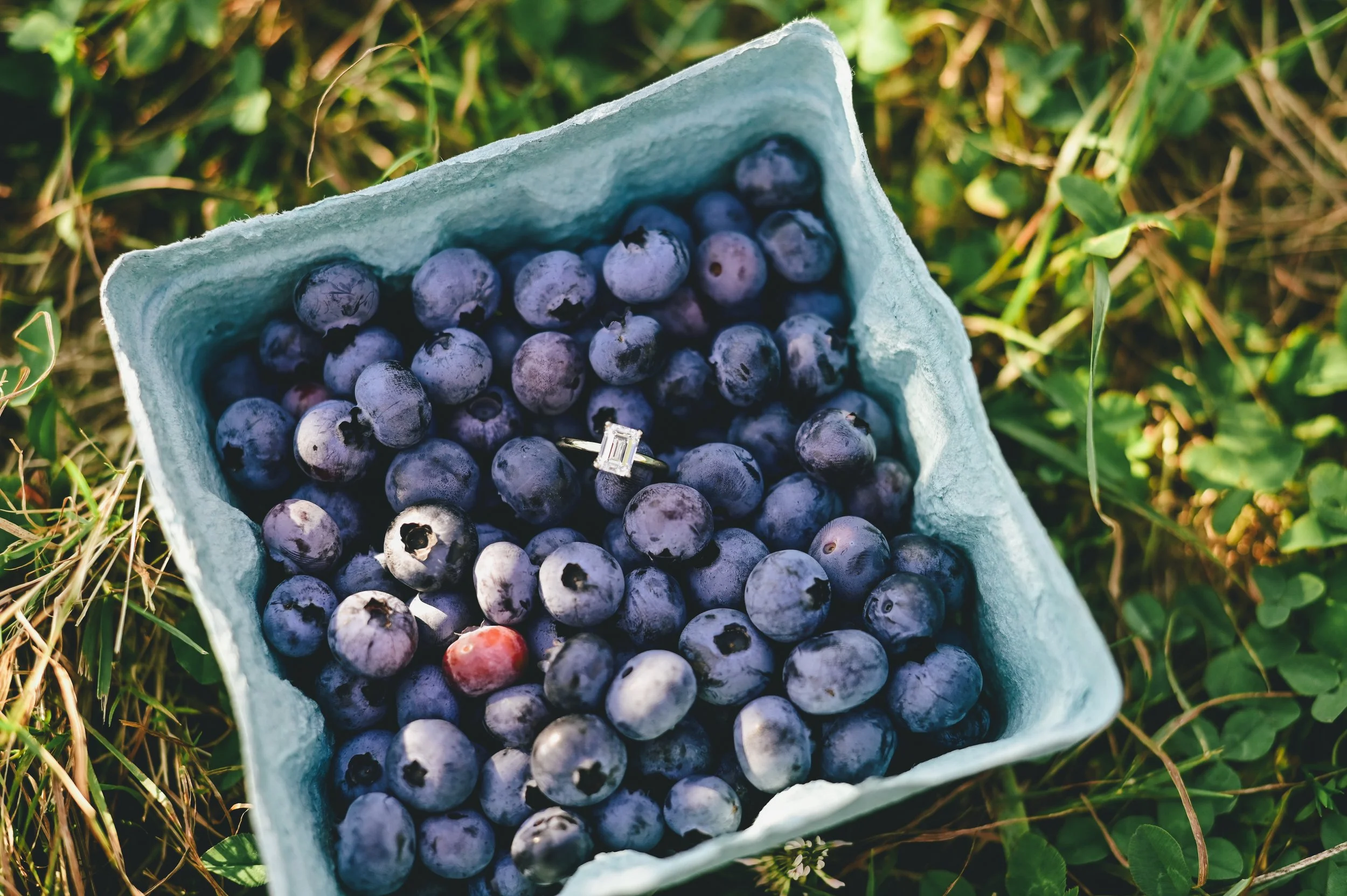diamond engagement ring in a quart of blueberries