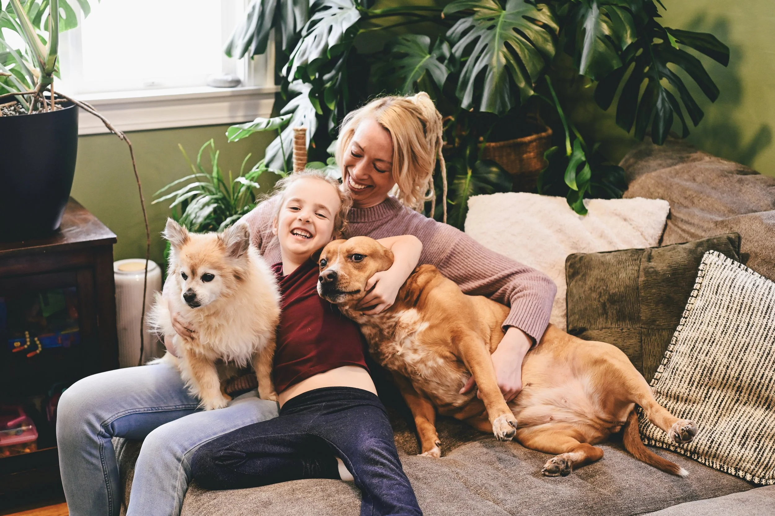family-pets-home-portrait.jpg