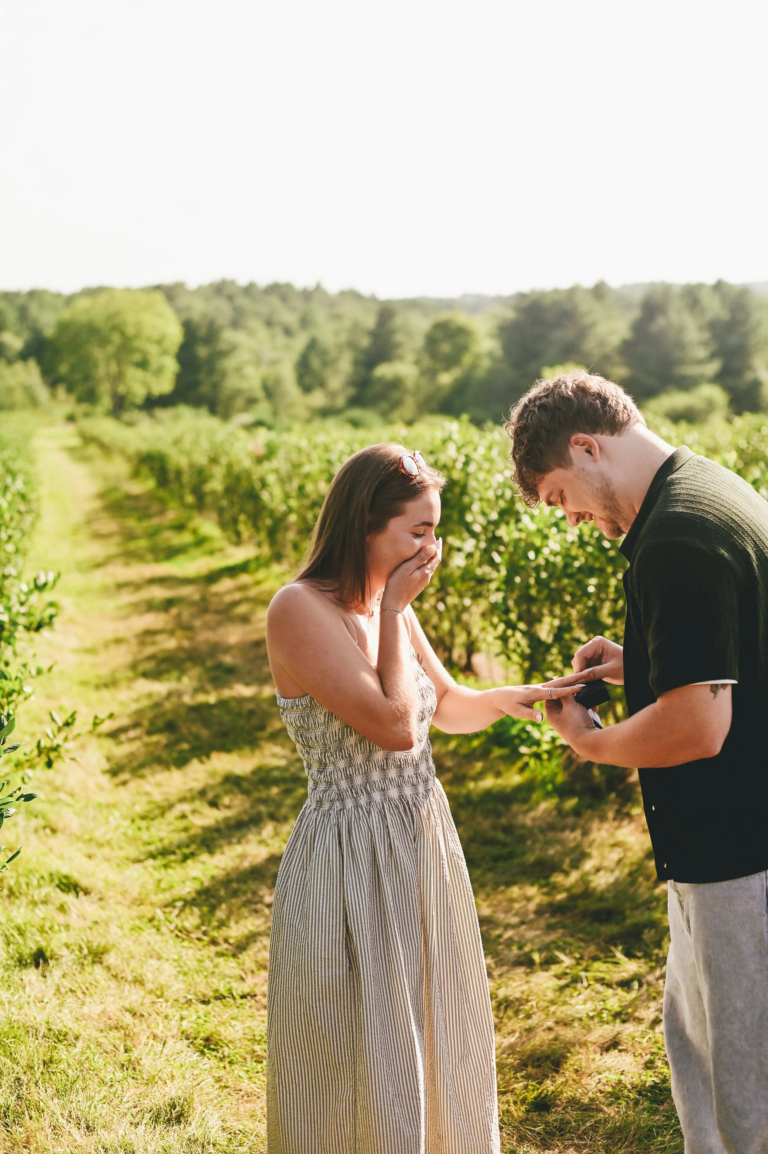 a woman surprised by a proposal at a blueberry farm in Gorham, Maine