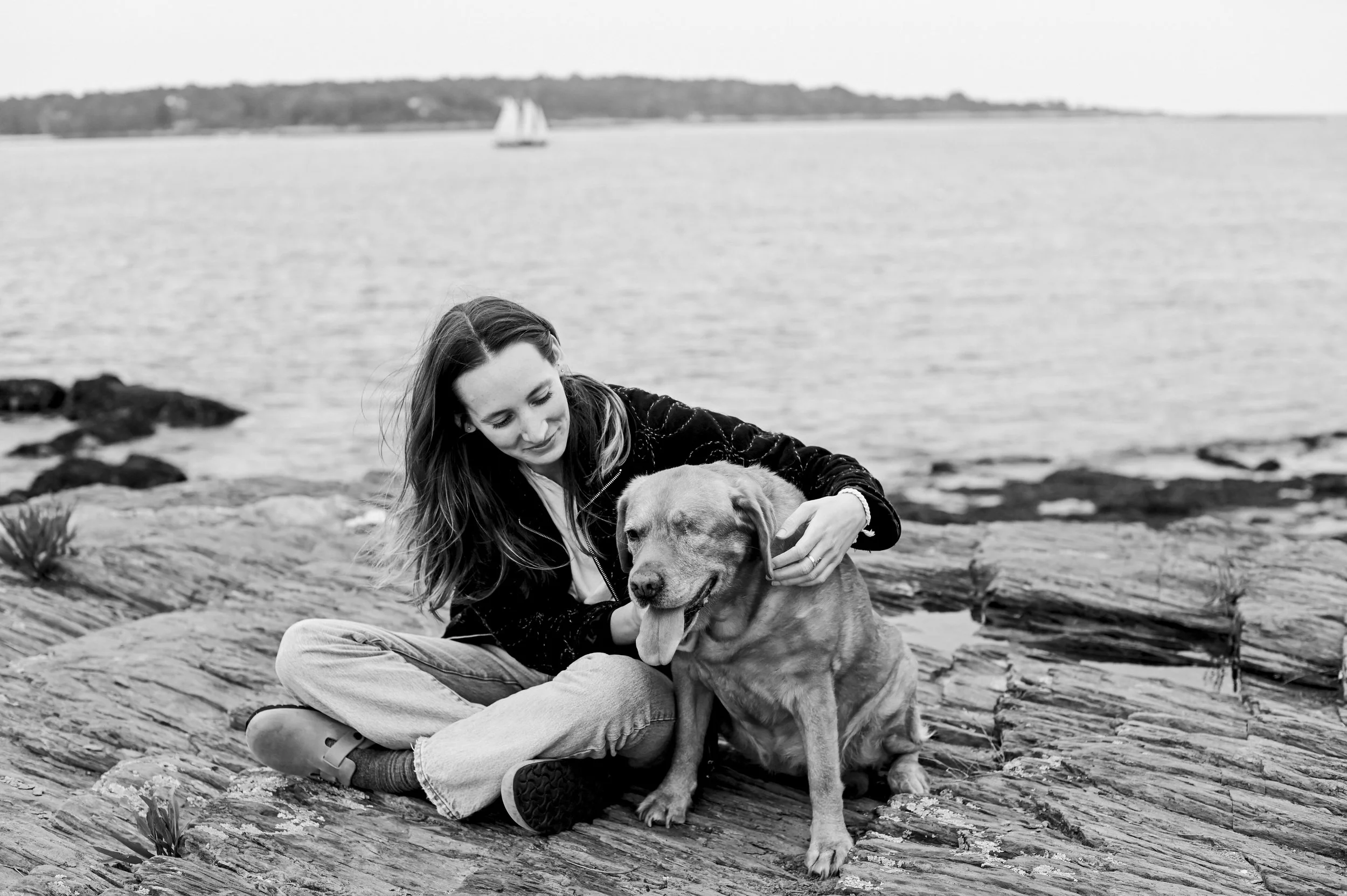 maine-coast-pet-dog-photography.jpg