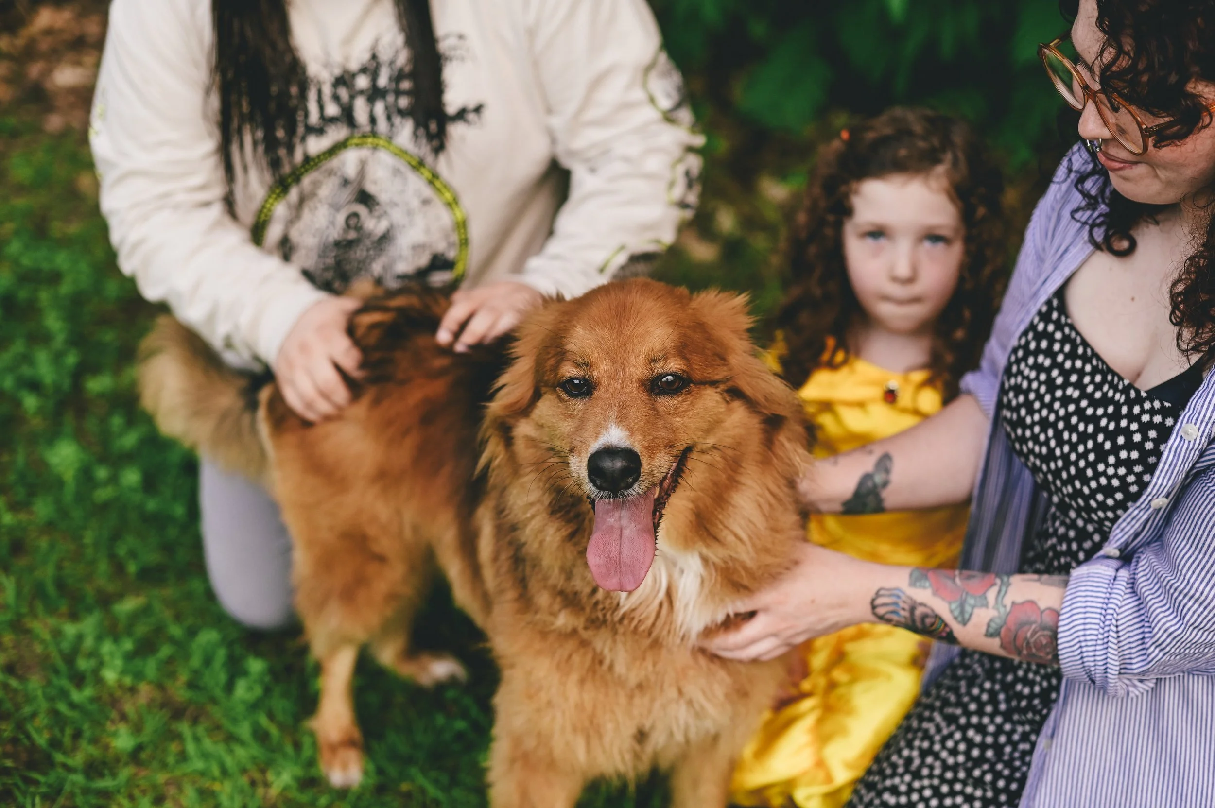 dog-family-portrait.jpg