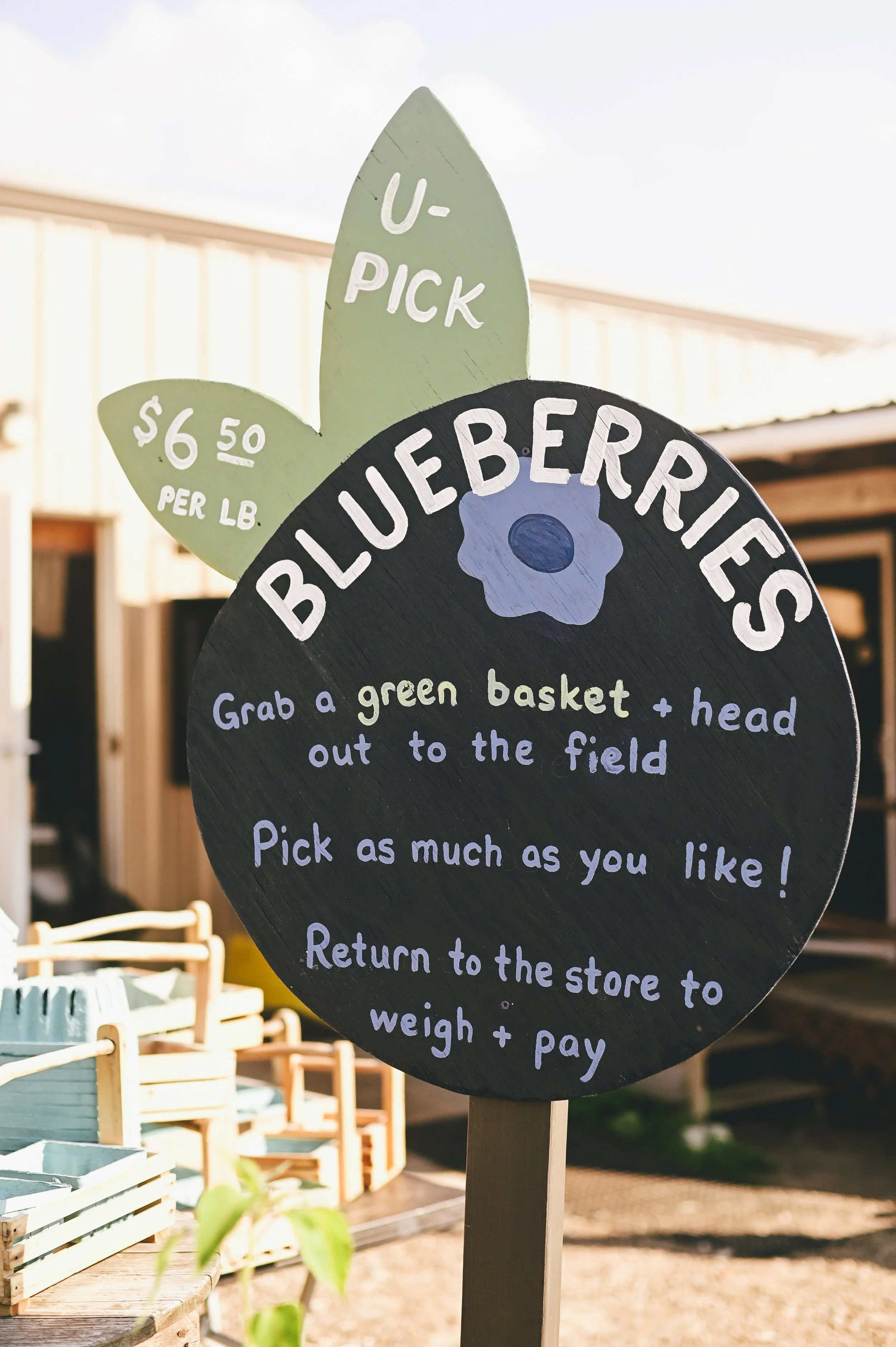 A pick your own blueberry sign at a farm in Gorham, Maine