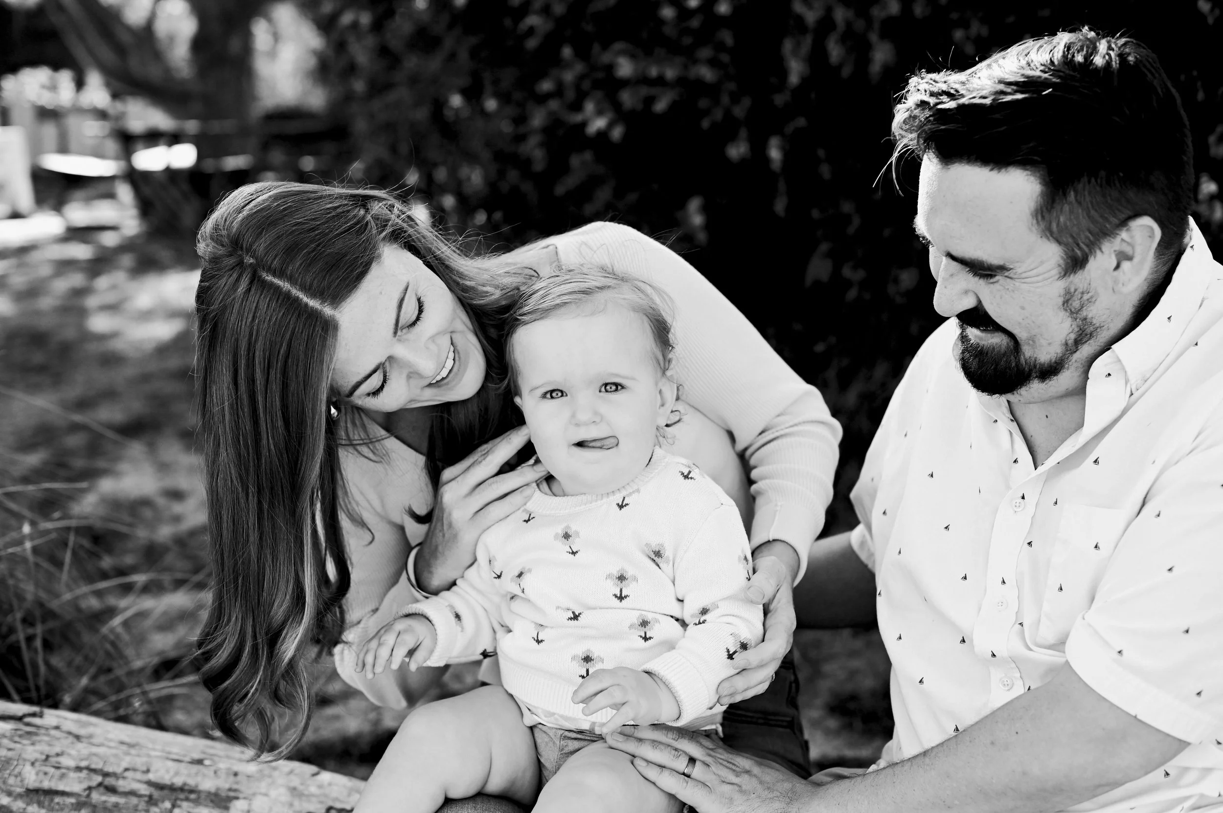 Decorative ceramic vase with a dried flower on a wooden surface, lit by natural sunlight with shadows on the wall.