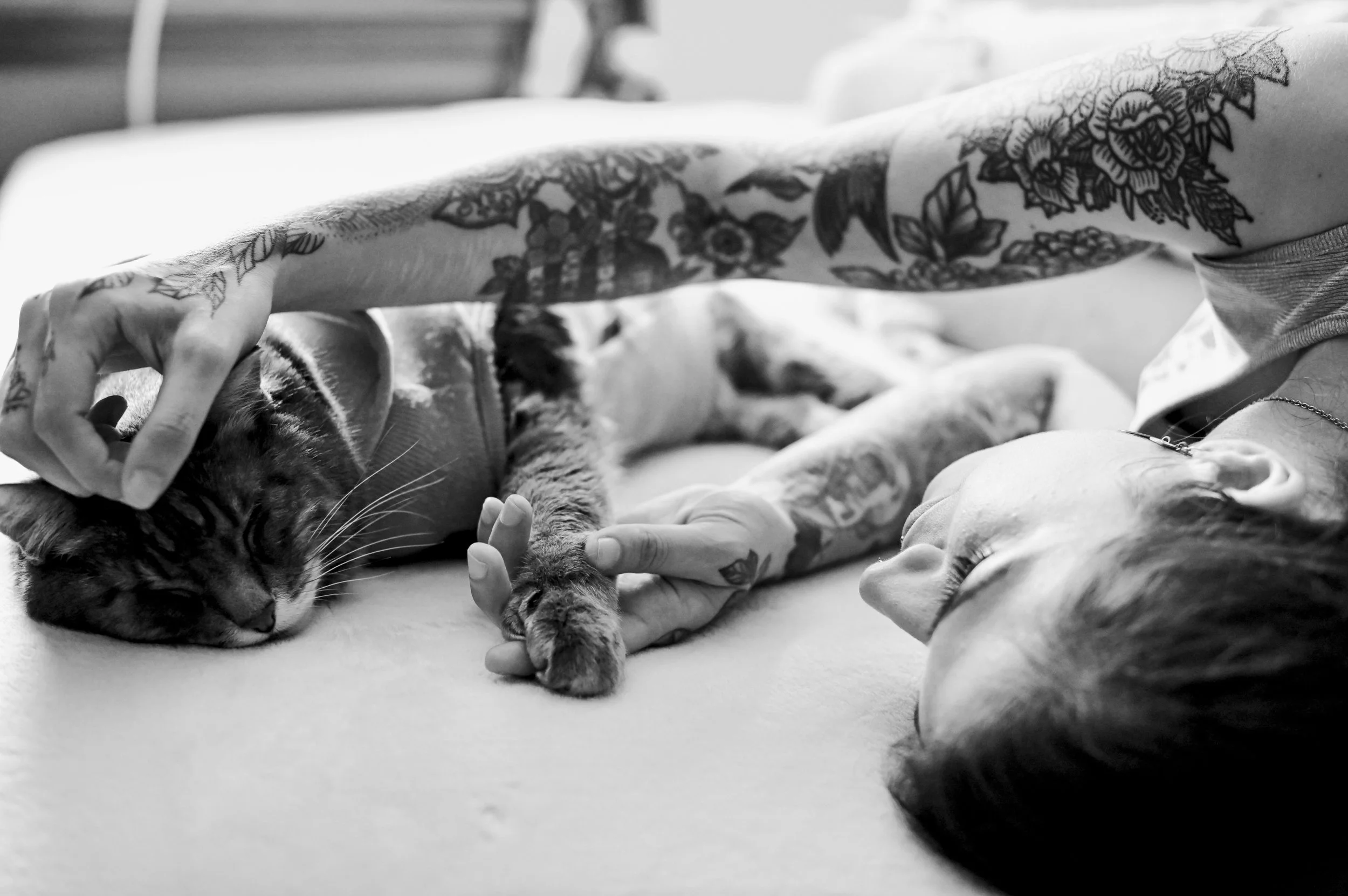 cat-and-owner-photography.jpg