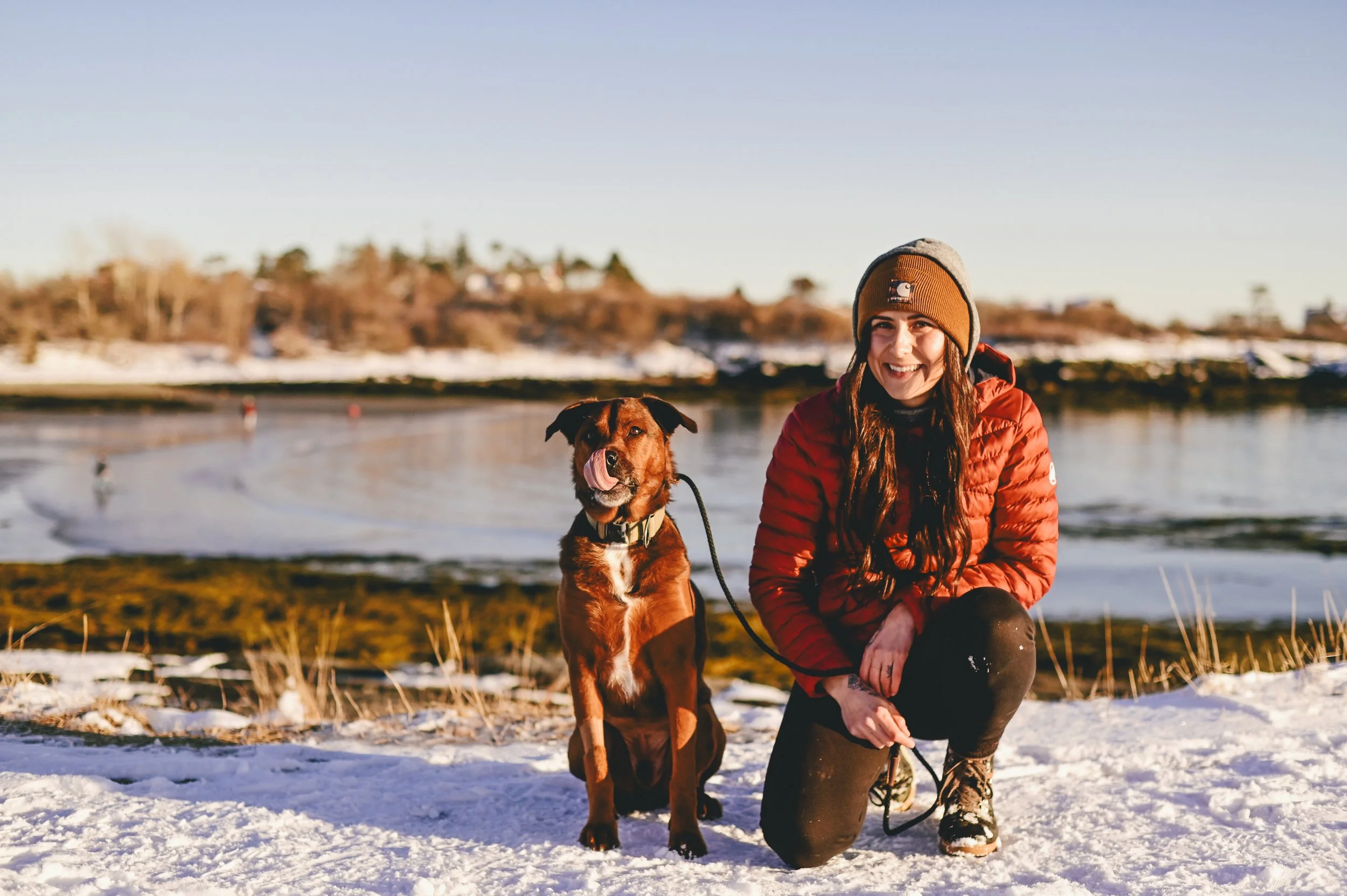 dog-walk-portrait-maine.jpg